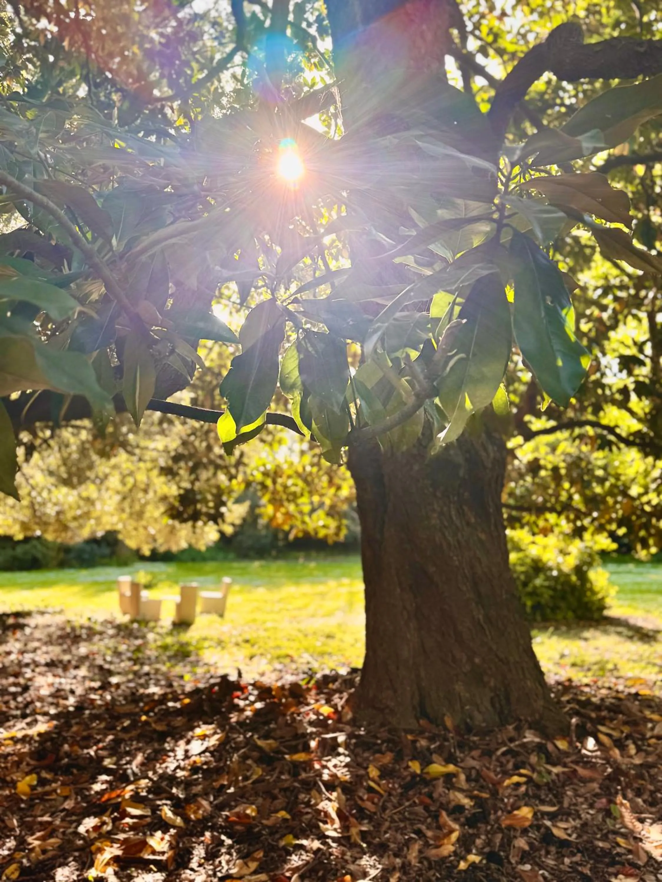 Day in Villa La Dogana B&B di Charme - Historic Villa with a beautiful garden - private parking