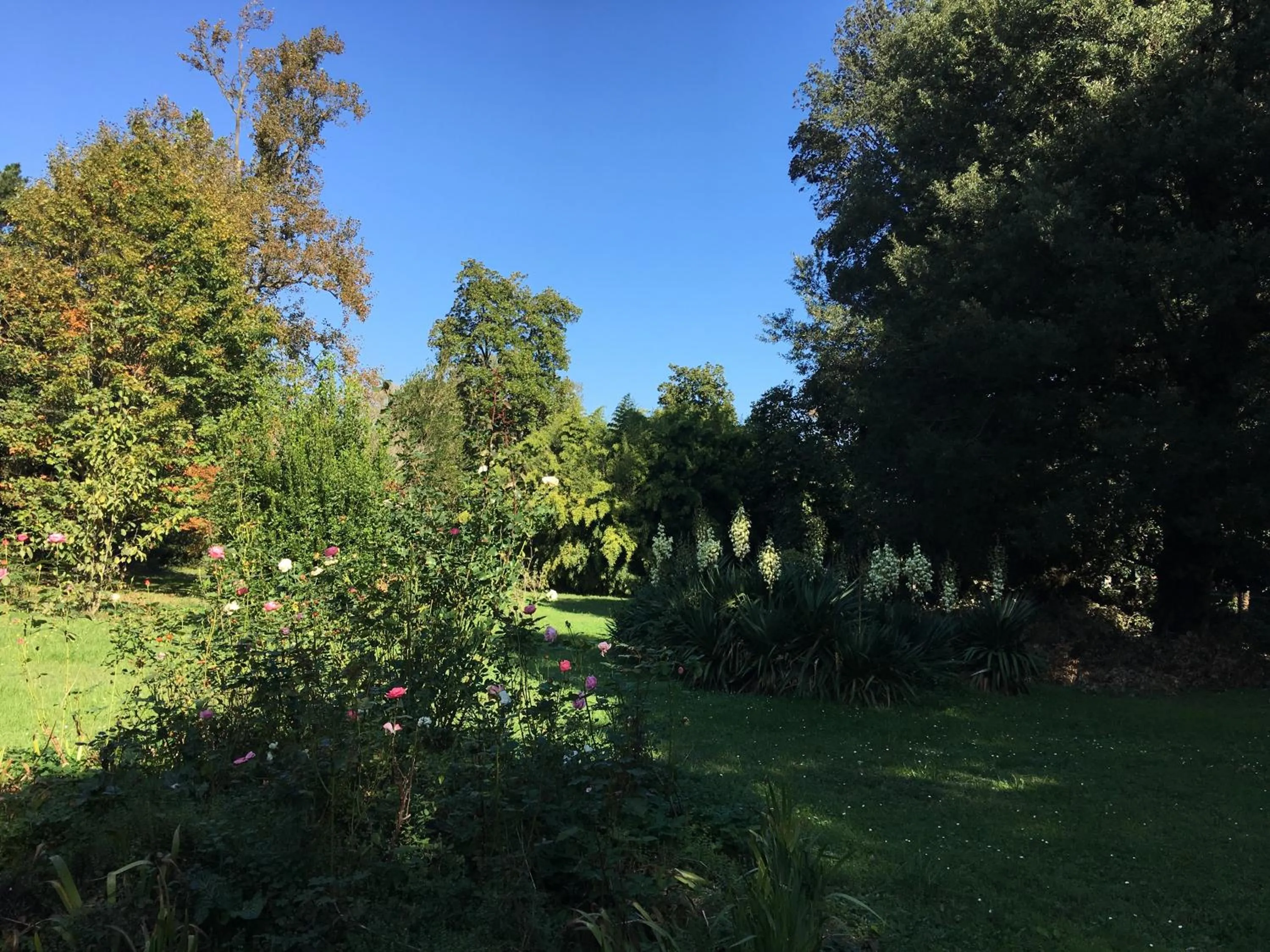 Garden in Villa La Dogana B&B di Charme - Historic Villa with a beautiful garden - private parking