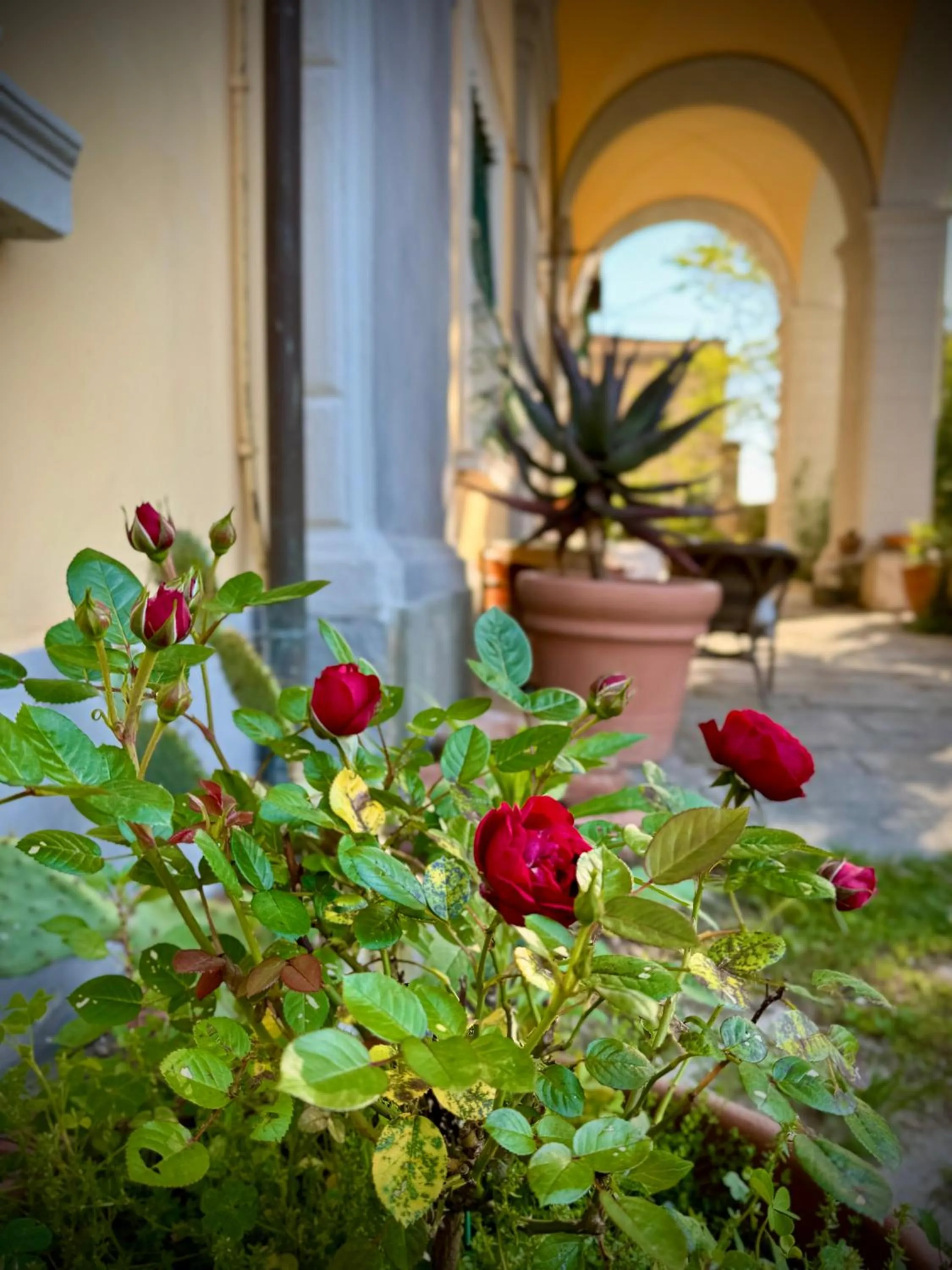 Villa La Dogana B&B di Charme - Historic Villa with a beautiful garden - private parking