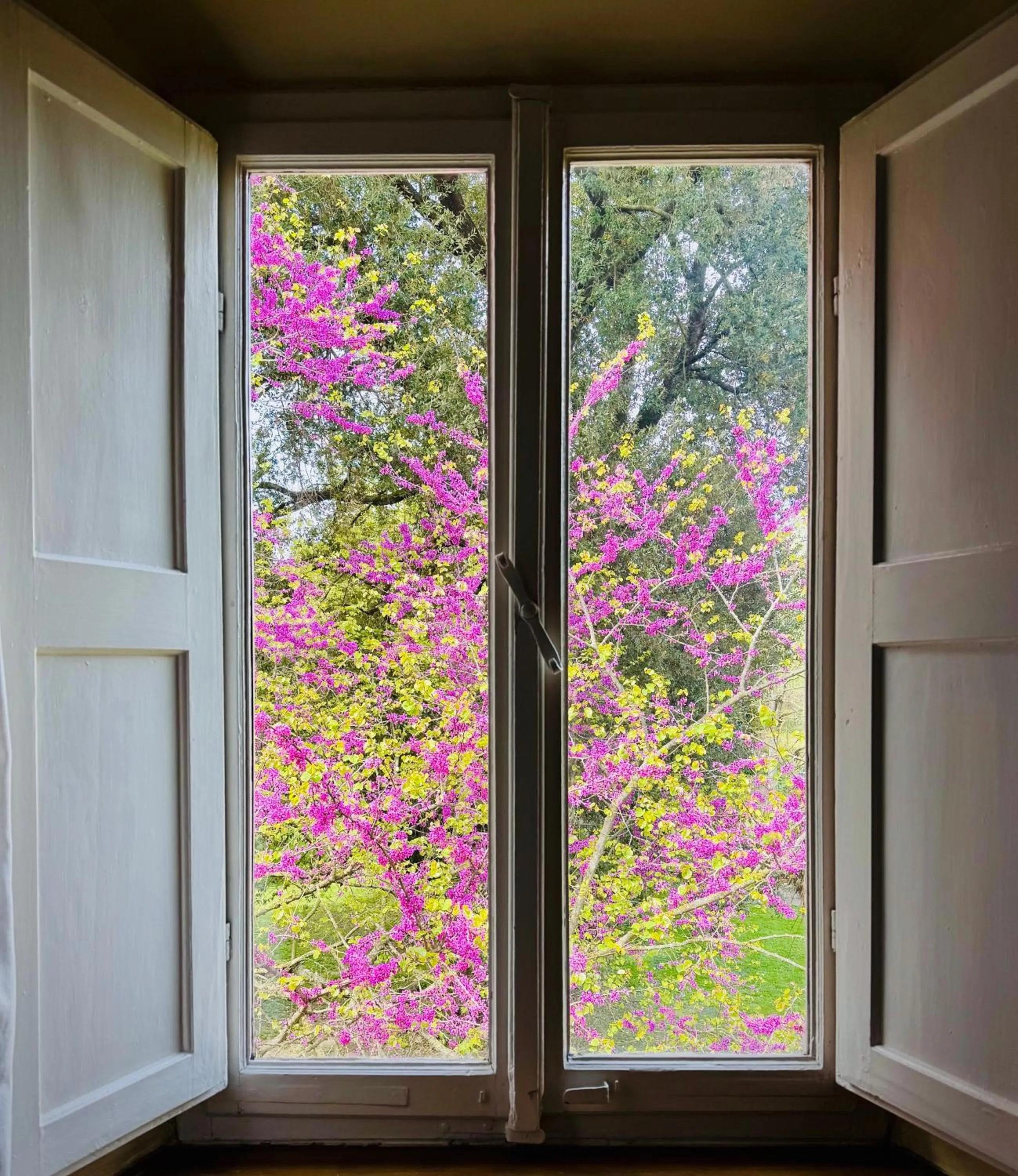 Villa La Dogana B&B di Charme - Historic Villa with a beautiful garden - private parking