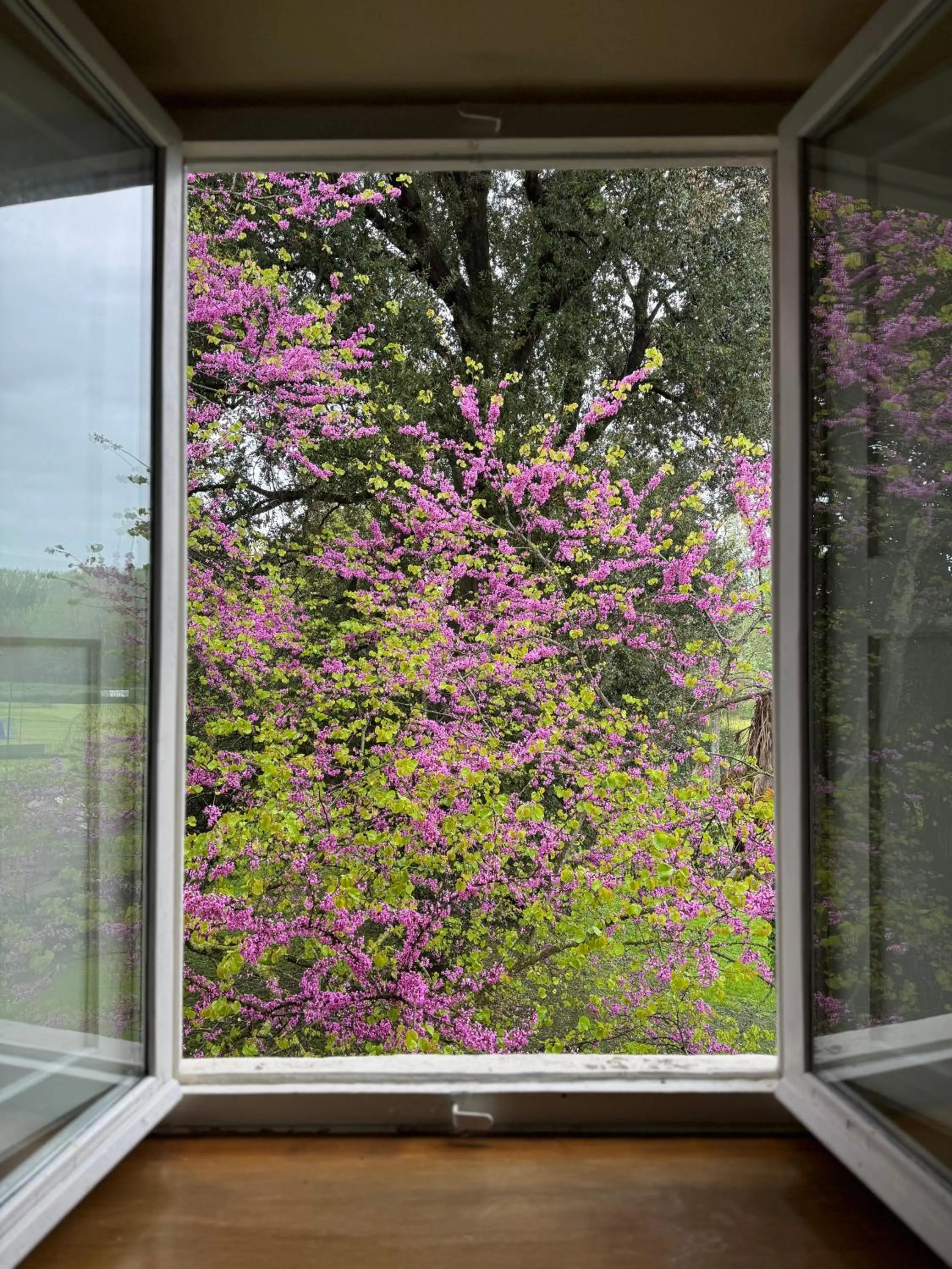 Villa La Dogana B&B di Charme - Historic Villa with a beautiful garden - private parking