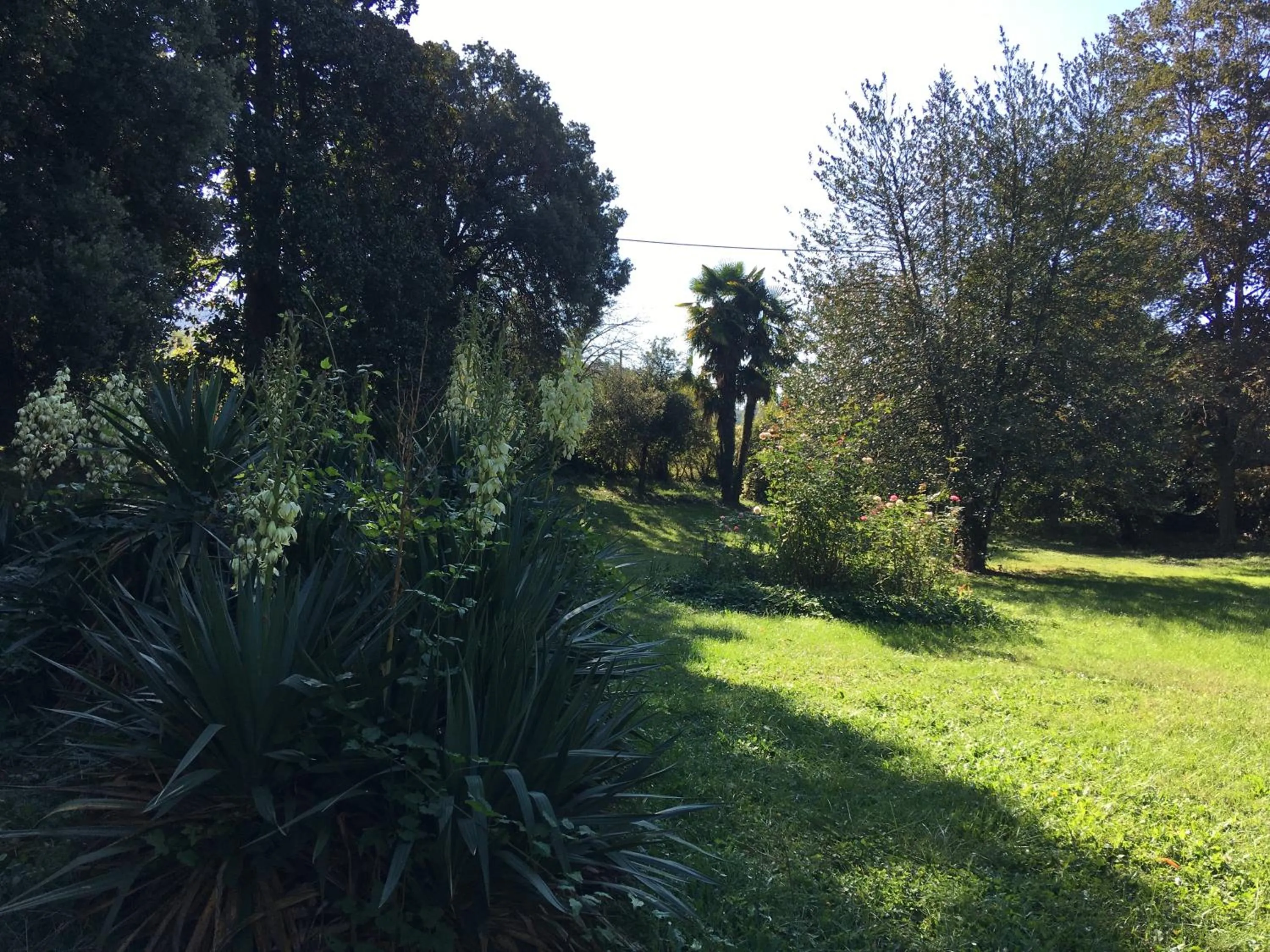 Garden in Villa La Dogana B&B di Charme - Historic Villa with a beautiful garden - private parking