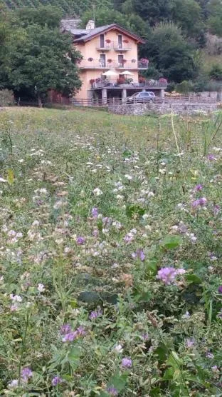 Natural landscape in Affittacamere Les Noyers