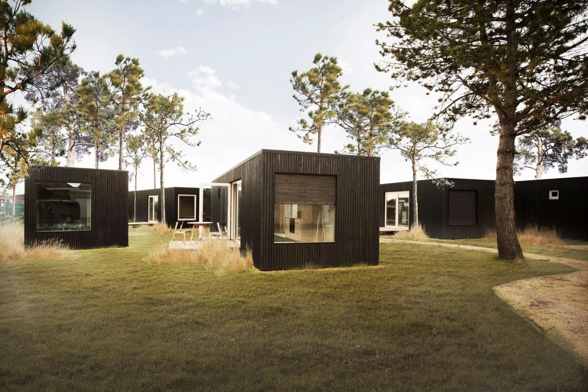 Garden view in Fields of Ellis