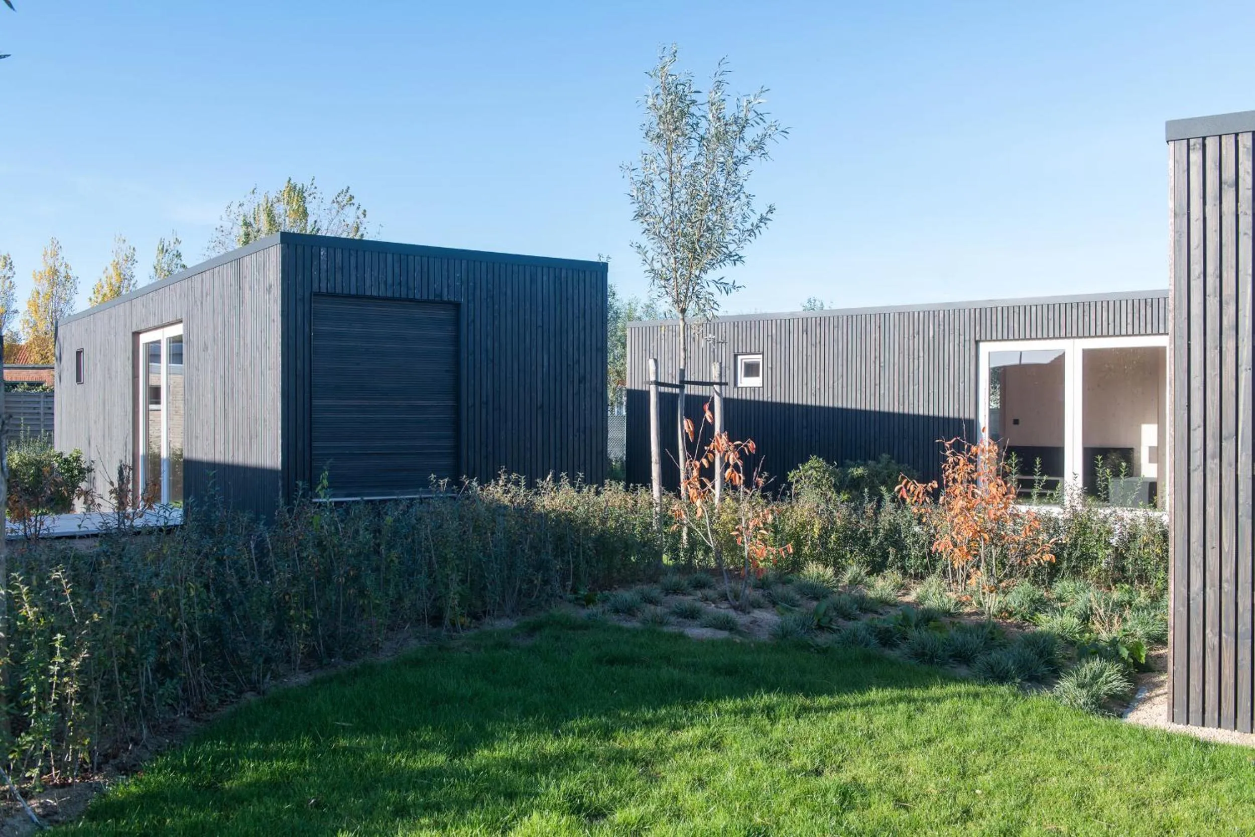 Neighbourhood in Fields of Ellis