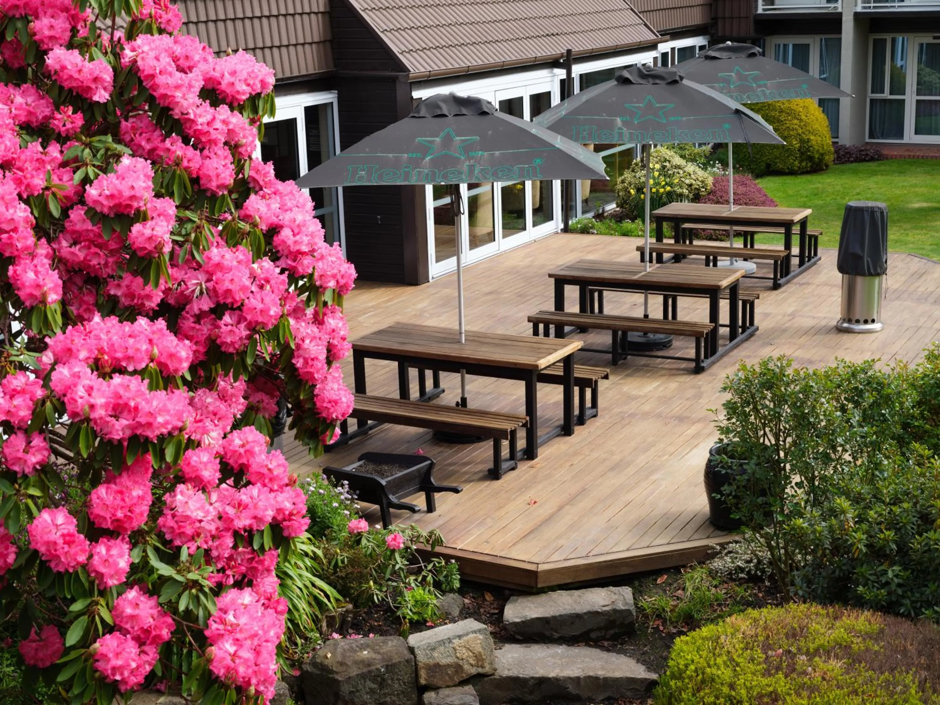 BBQ facilities in Dunedin Leisure Lodge - Distinction