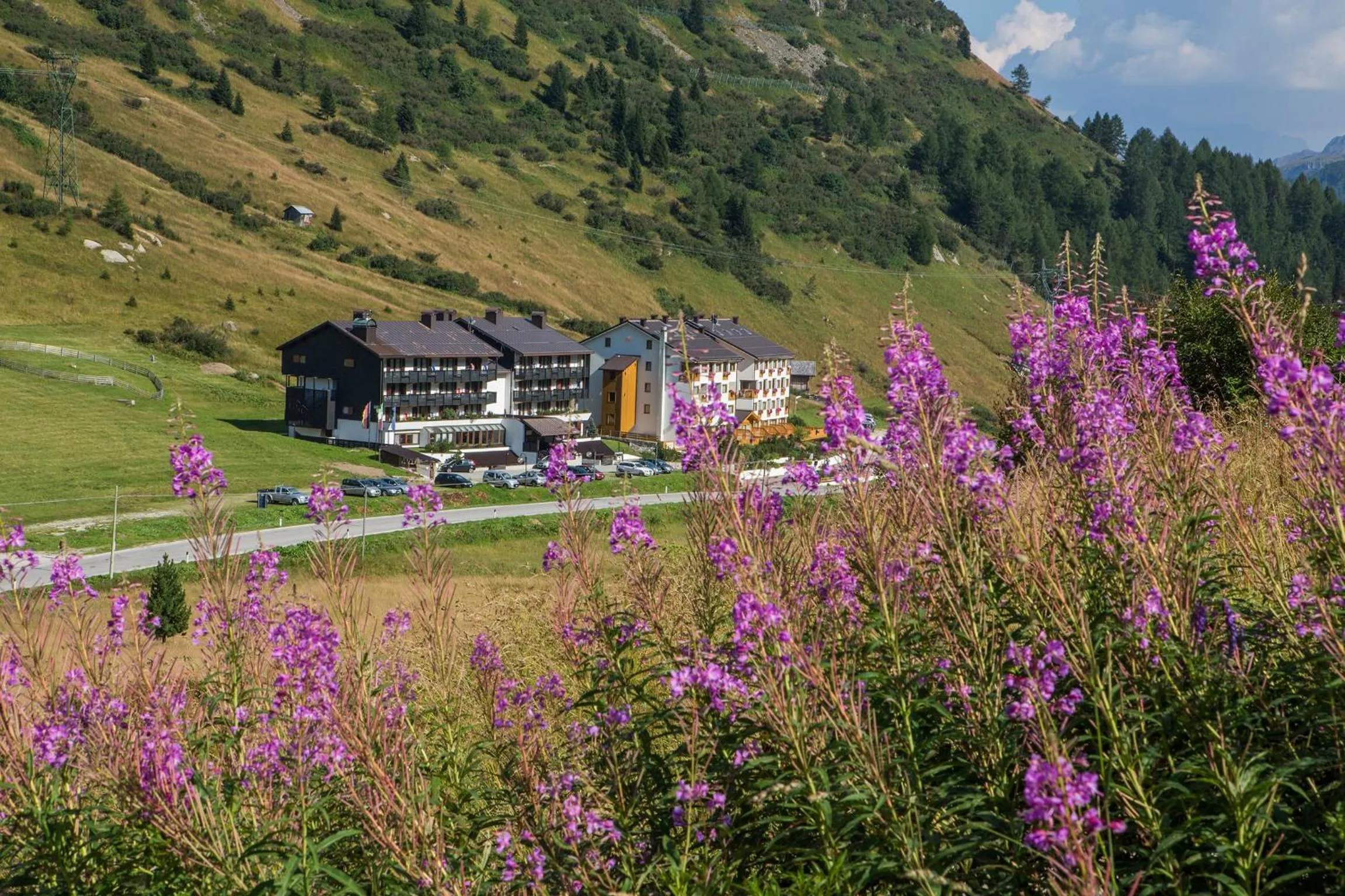 View (from property/room) in Residence Campolongo