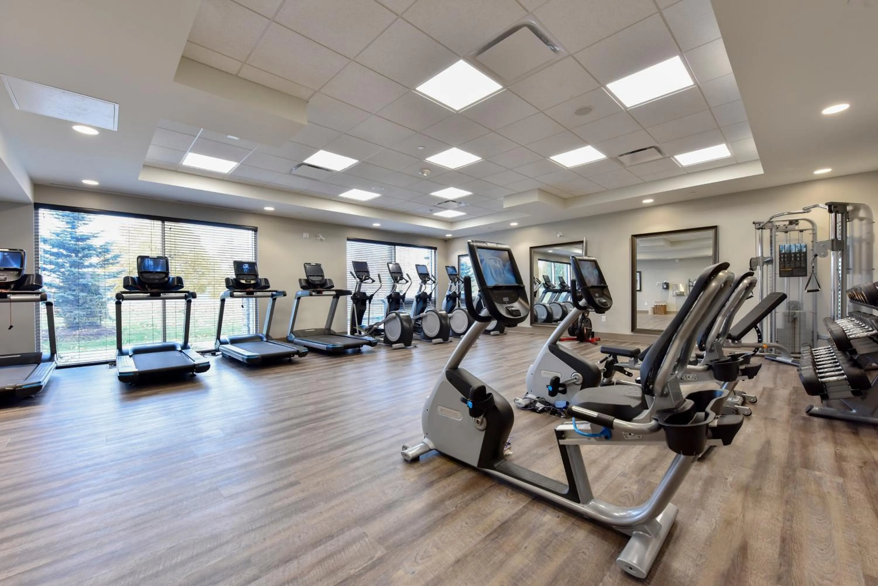 Fitness centre/facilities in Holiday Inn Express Hotel & Suites Waterloo - St. Jacobs Area, an IHG Hotel