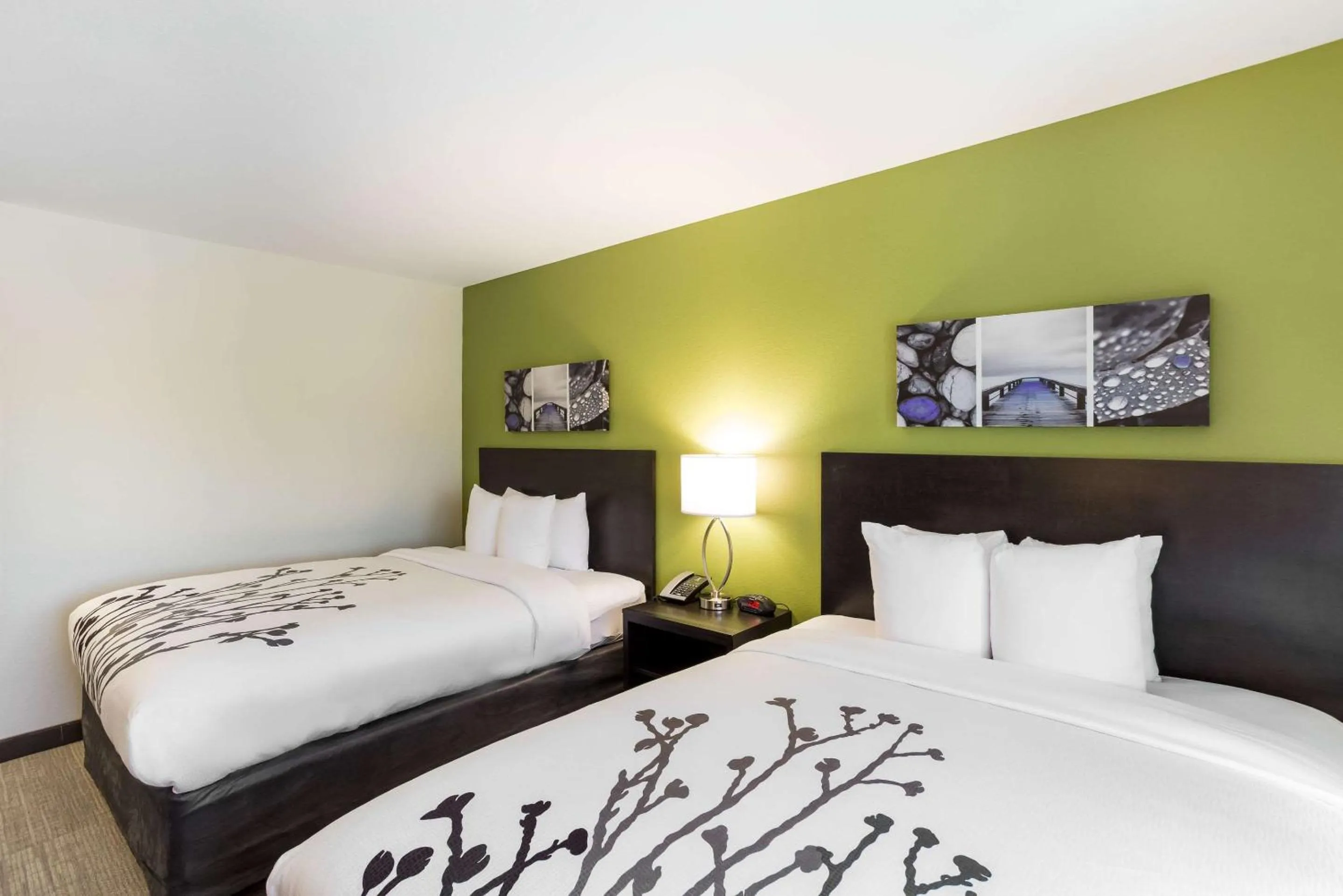 Photo of the whole room, Bed in Sleep Inn Logan Ohio-Hocking Hills