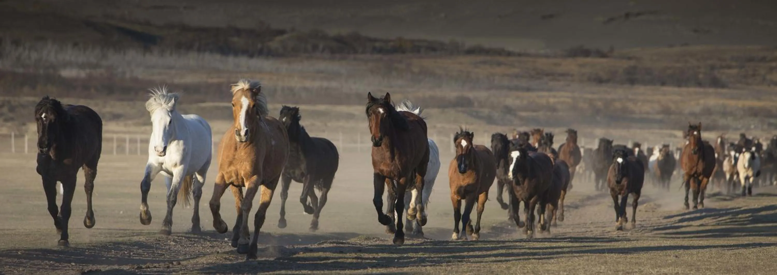 Day in Hotel Las Torres Patagonia