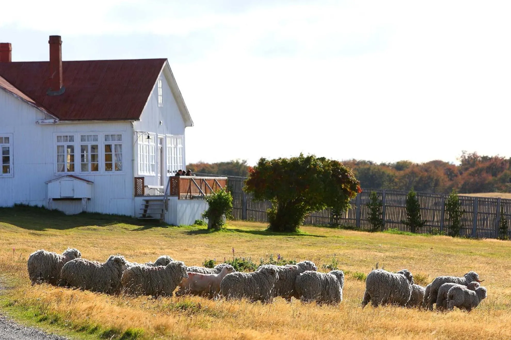 Activities in Hotel Las Torres Patagonia