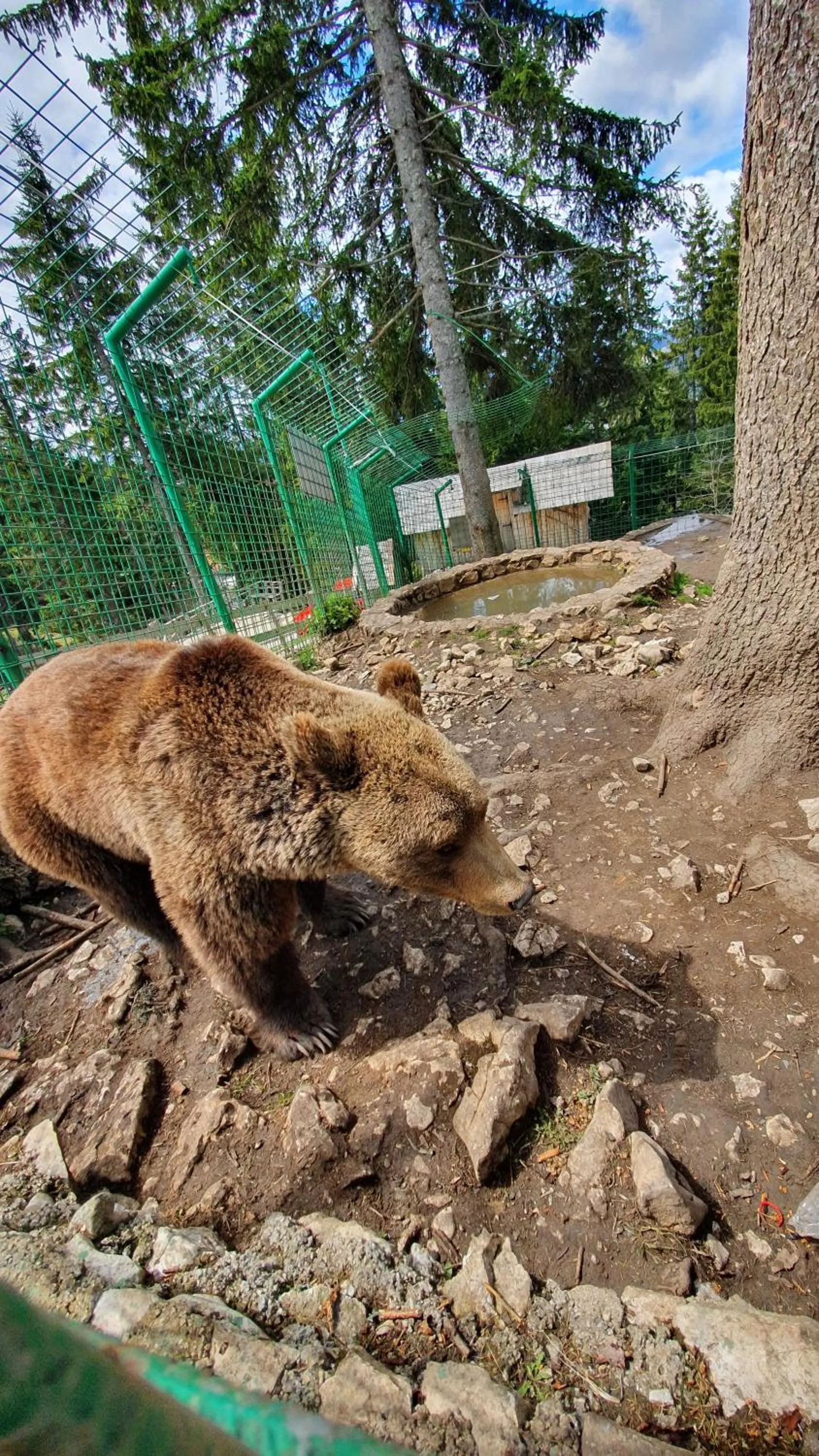 Animals in Eko-FIS Vlašić
