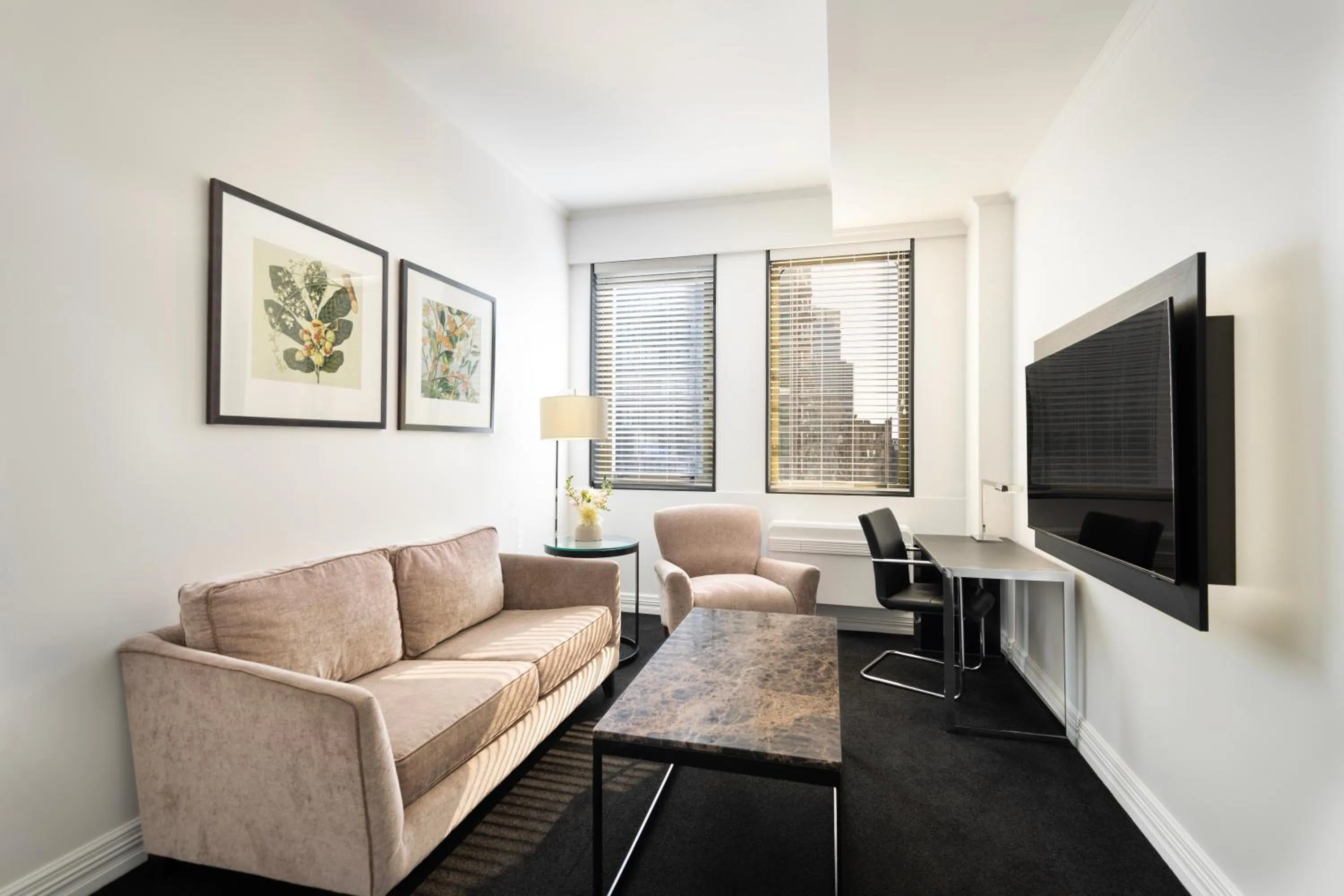 TV and multimedia in Edit Auckland Central