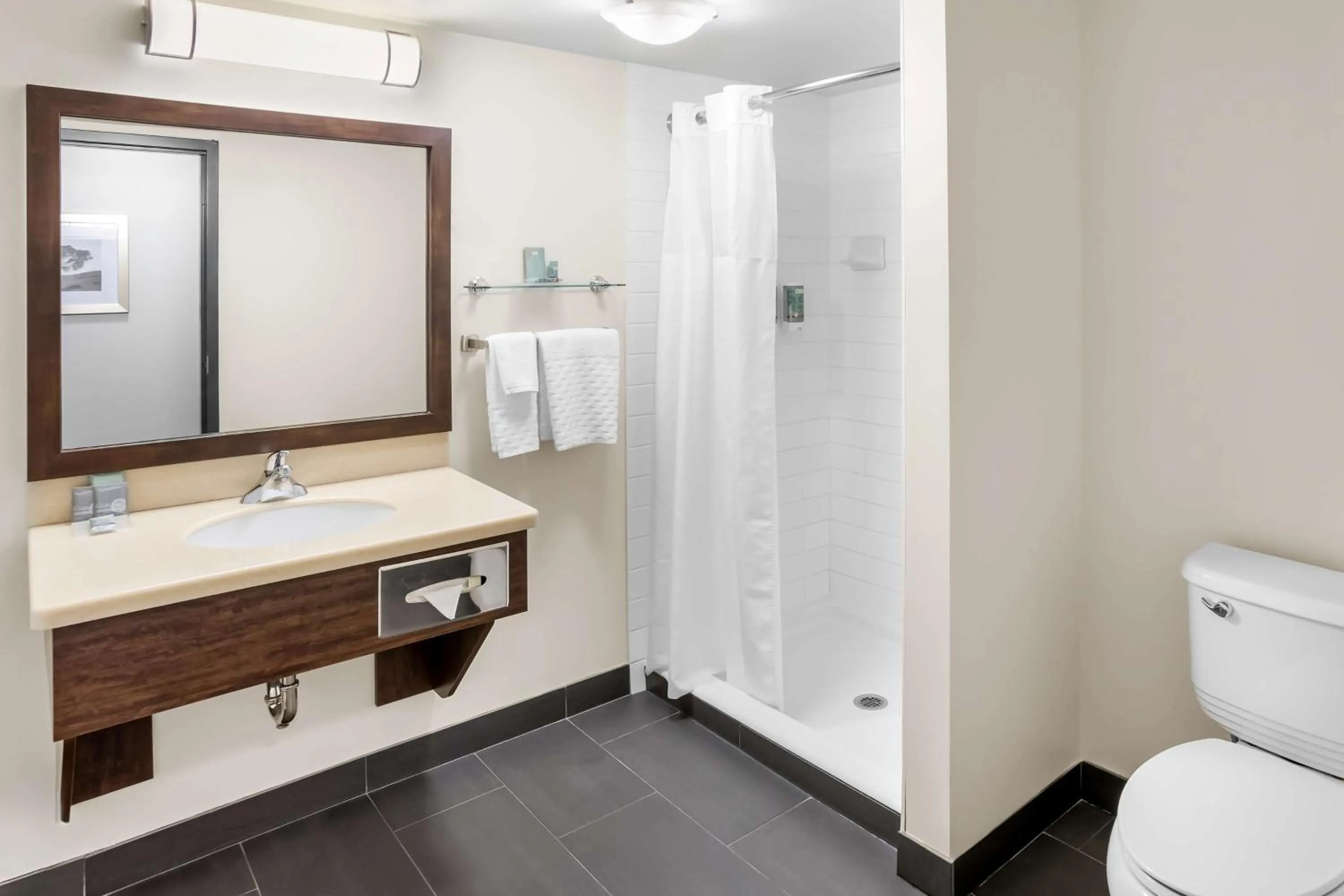 Bathroom in Best Western Thompson