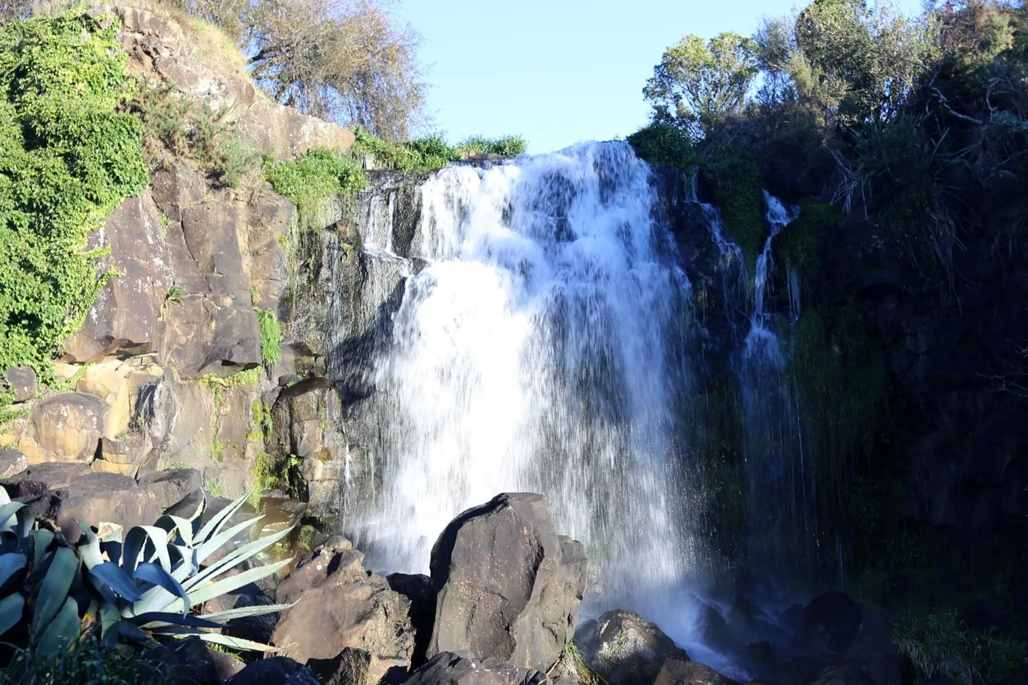 Day in Waiuku Lodge Motel
