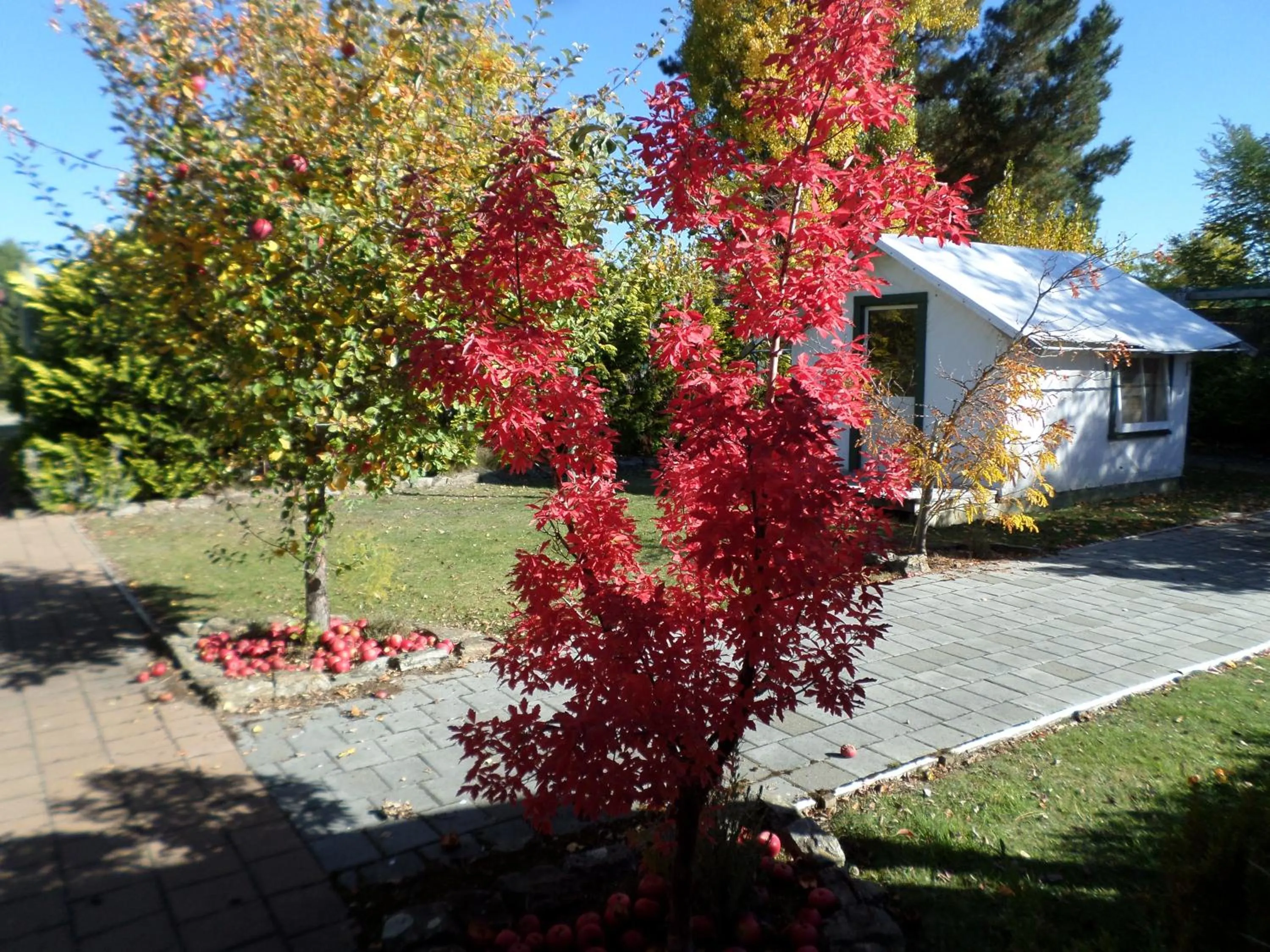 Garden in Central Chalets Ltd