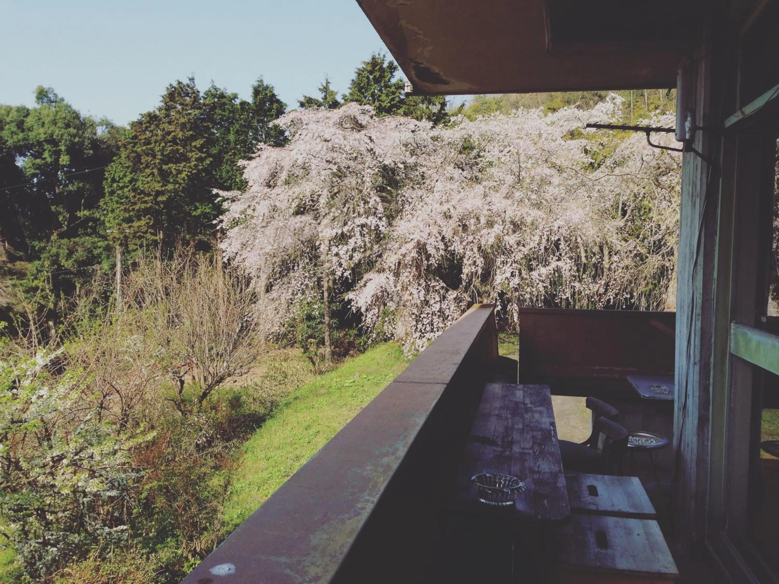 Balcony/Terrace in Amanohashidate Youth Hostel
