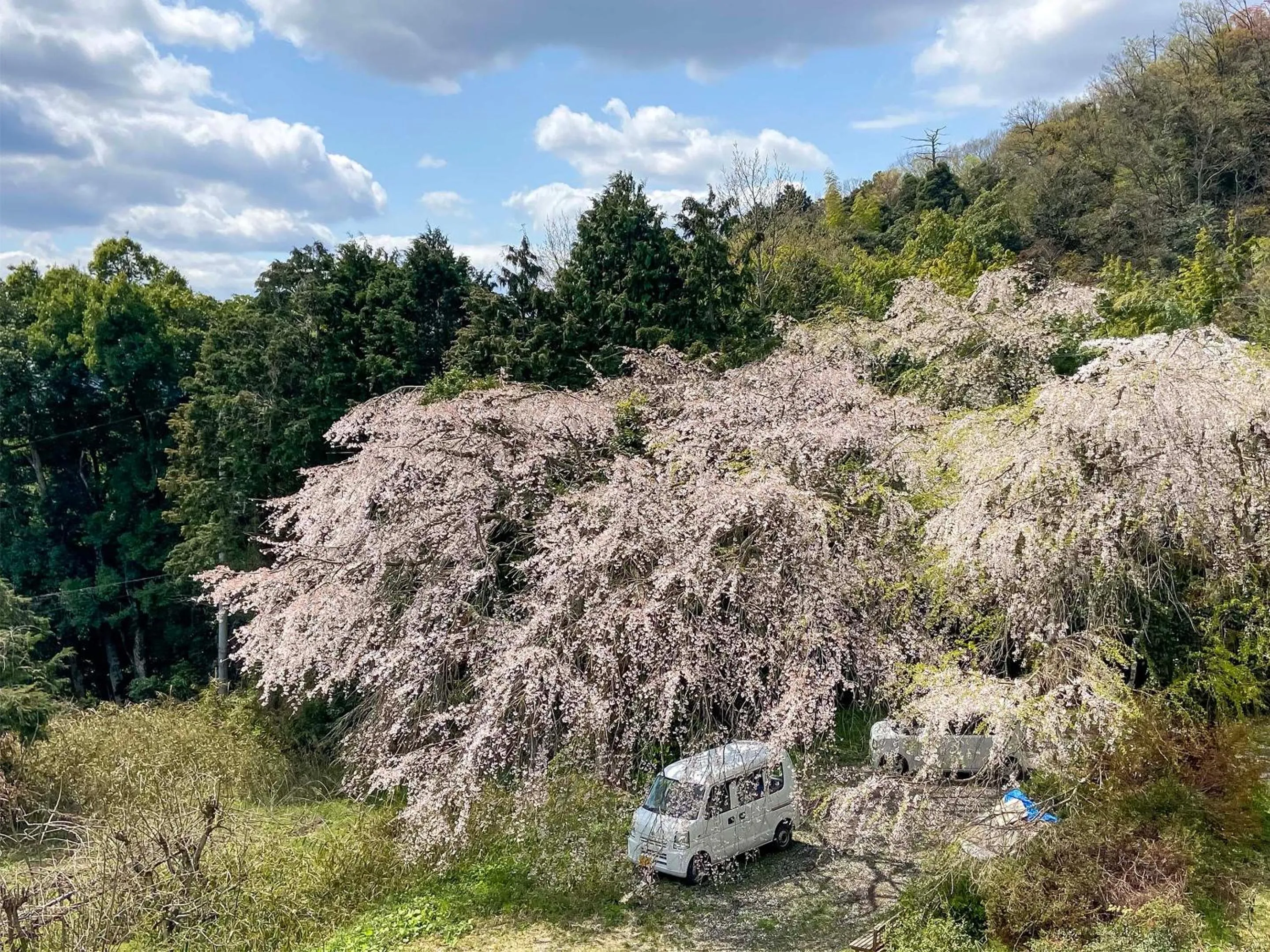 Natural landscape in Amanohashidate Youth Hostel