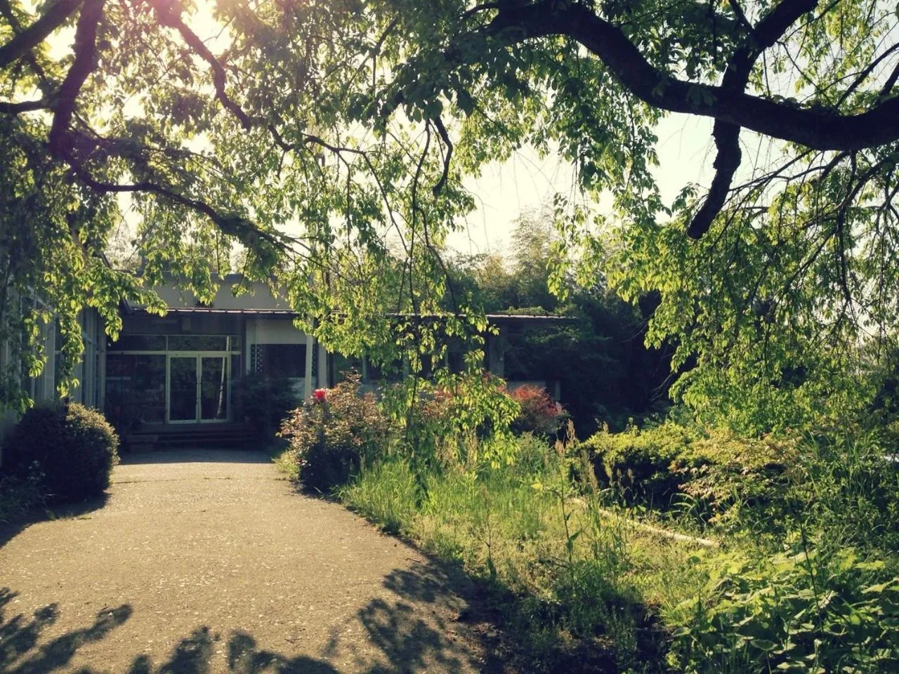 Facade/entrance in Amanohashidate Youth Hostel