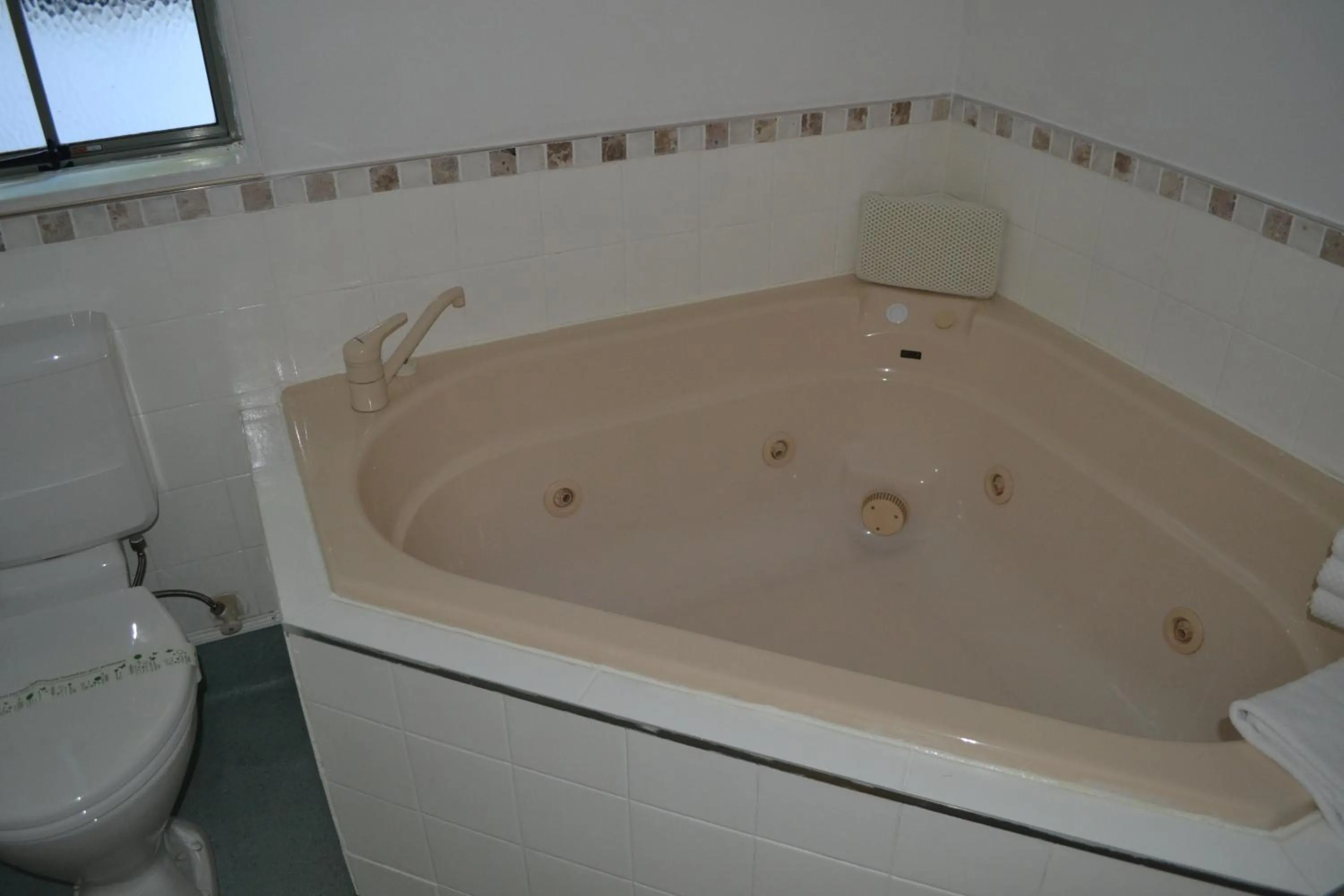 Toilet in Colonial Lodge Motel