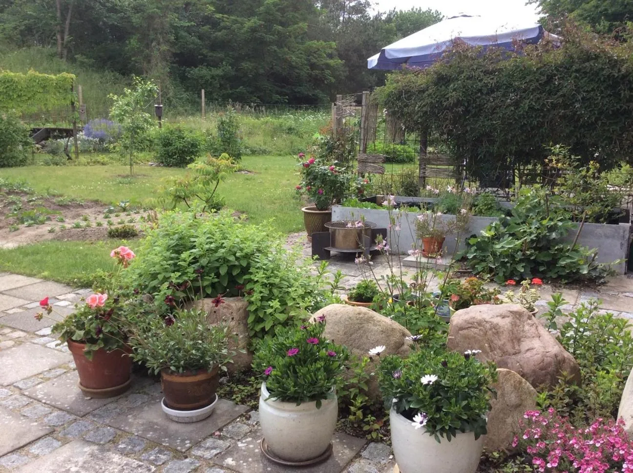 Area and facilities in Bergliot Bed & Breakfast