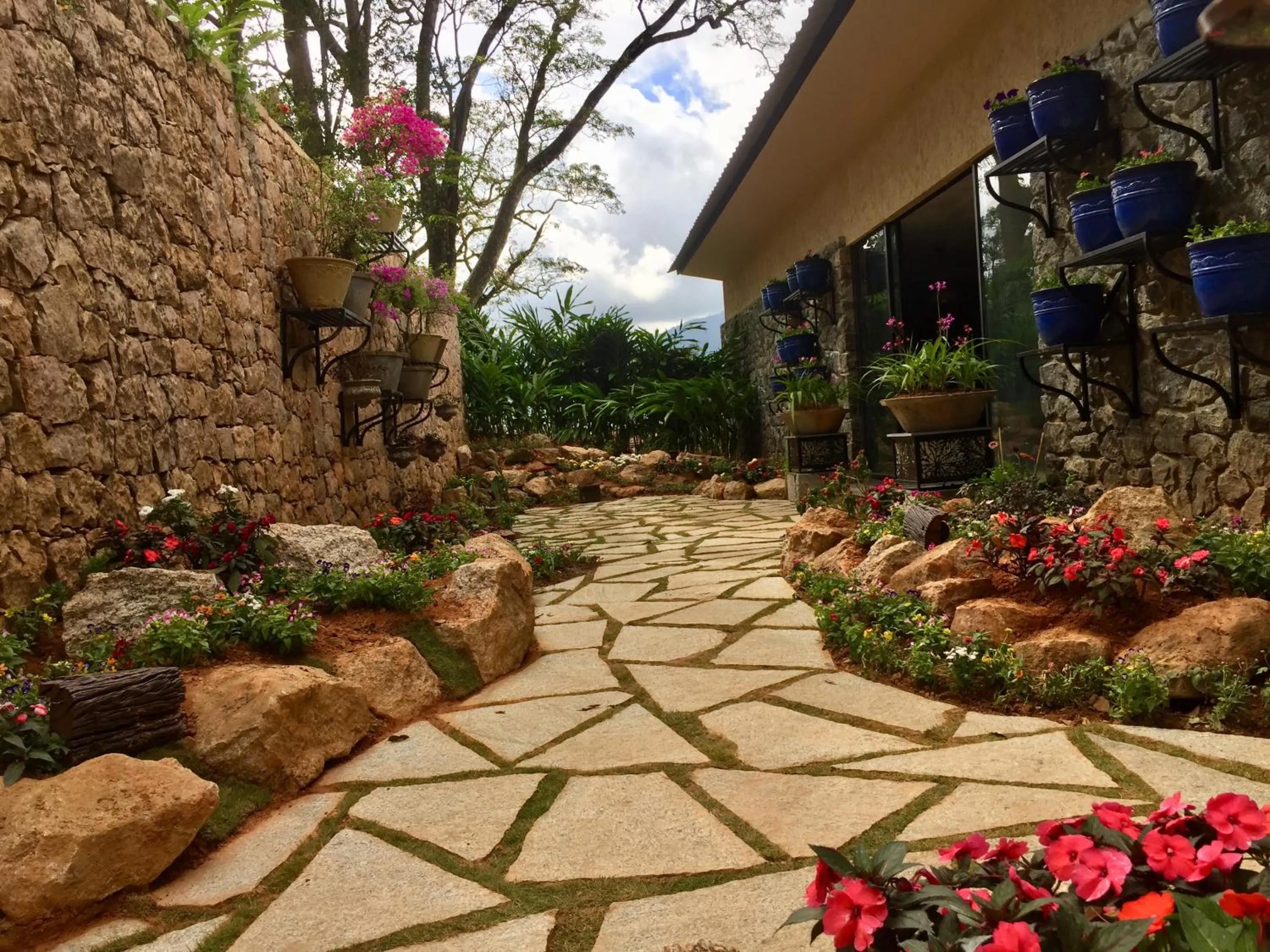 Natural landscape in Elakai