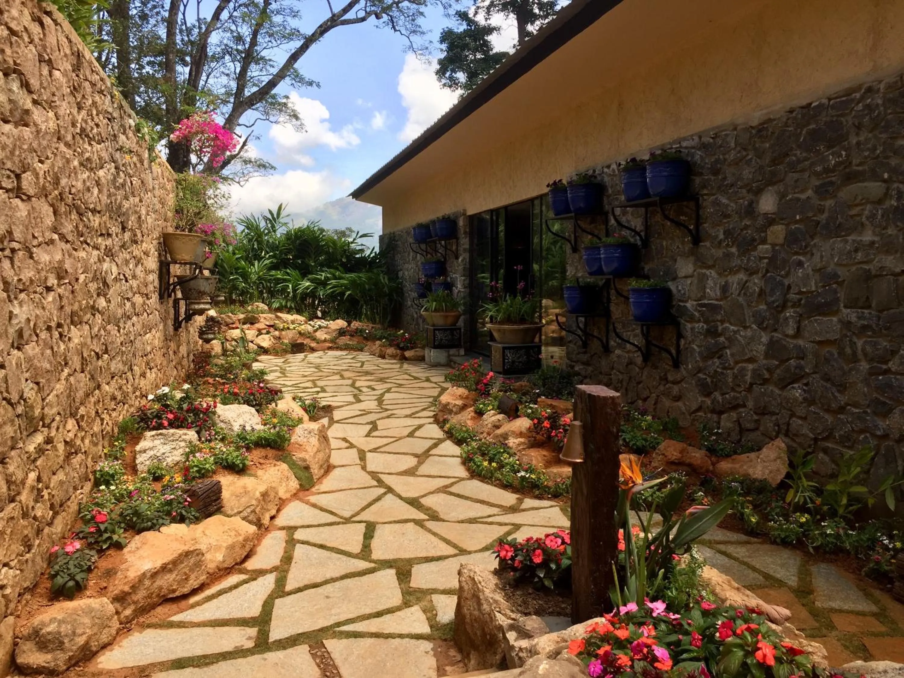 Property building in Elakai