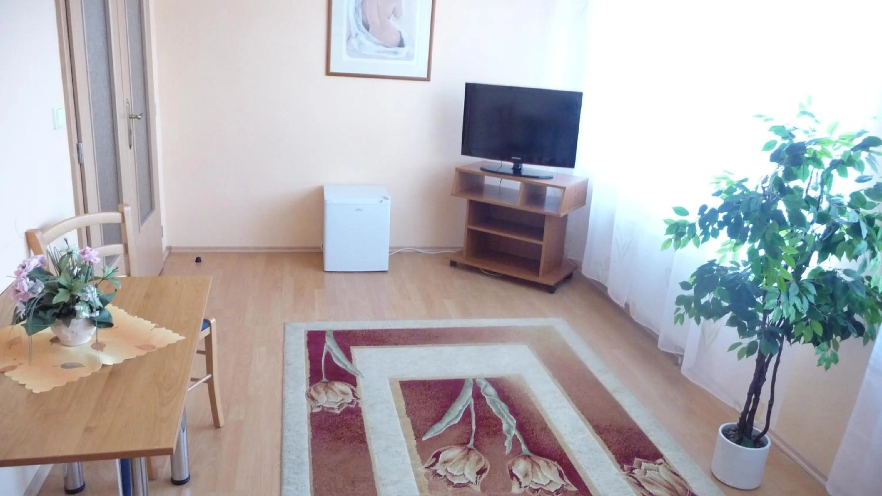 TV and multimedia in Hotel Štadión