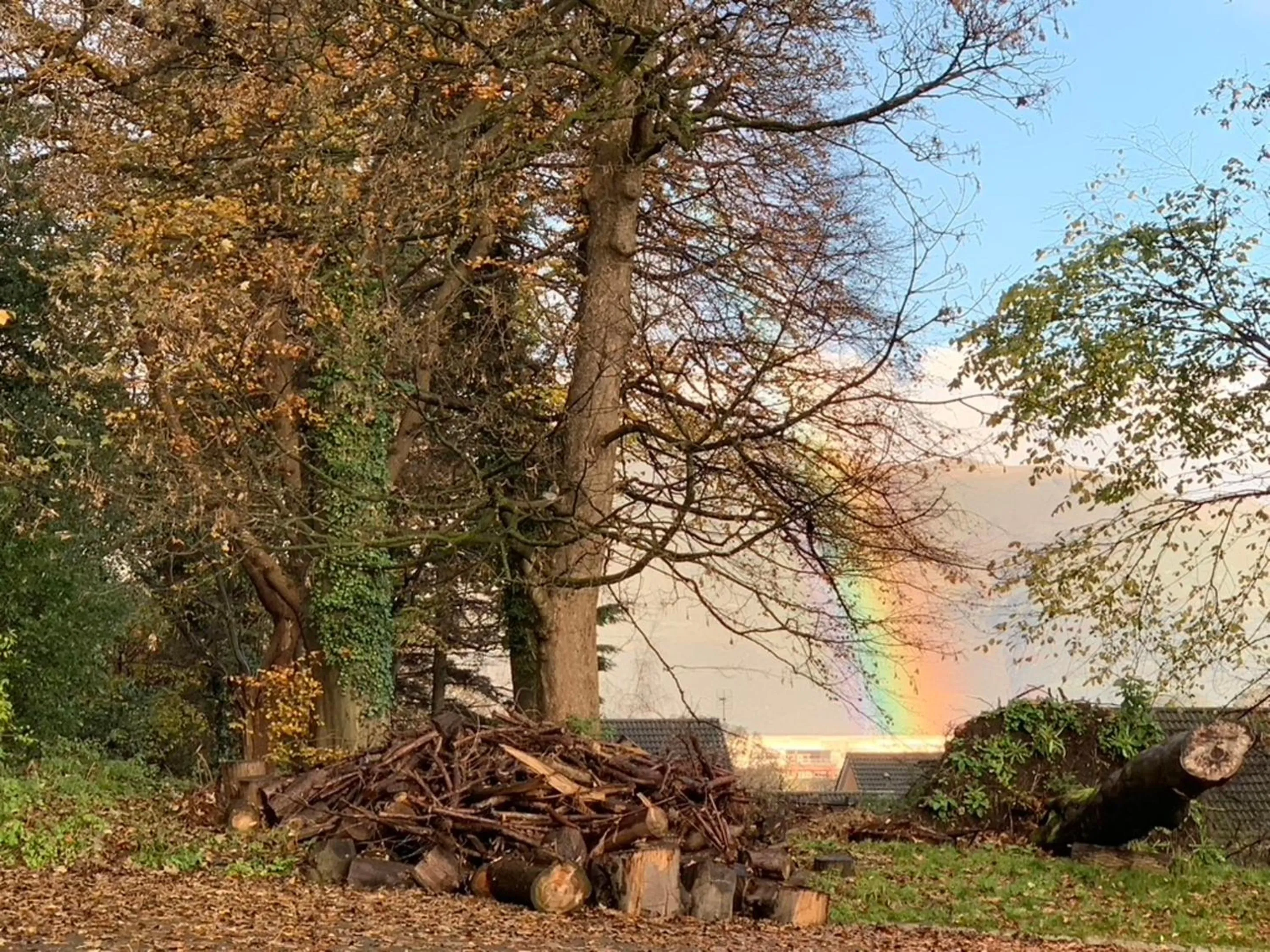 Natural landscape in OYO Dunmar House Hotel