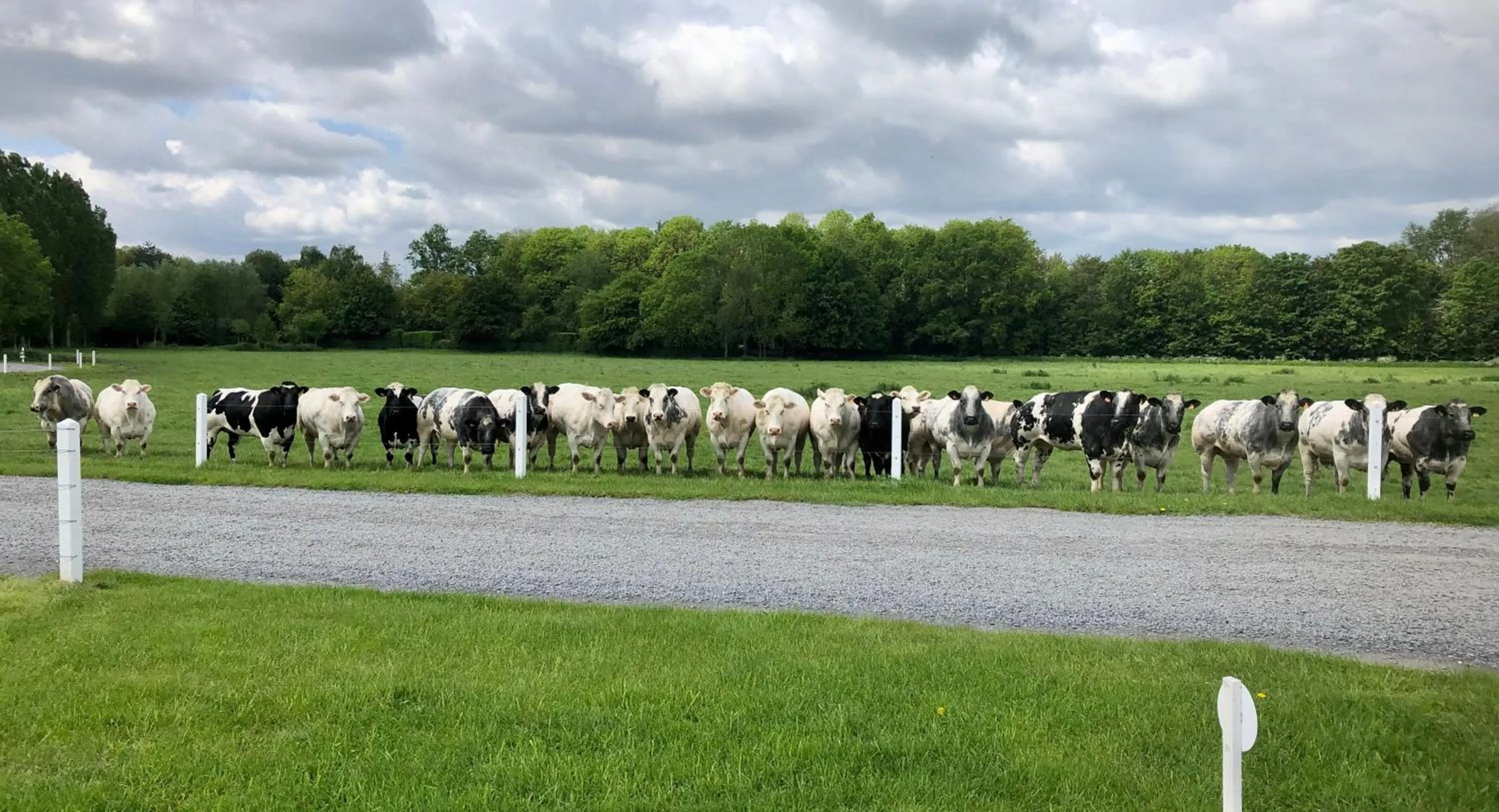 Garden view in Ferme Delgueule