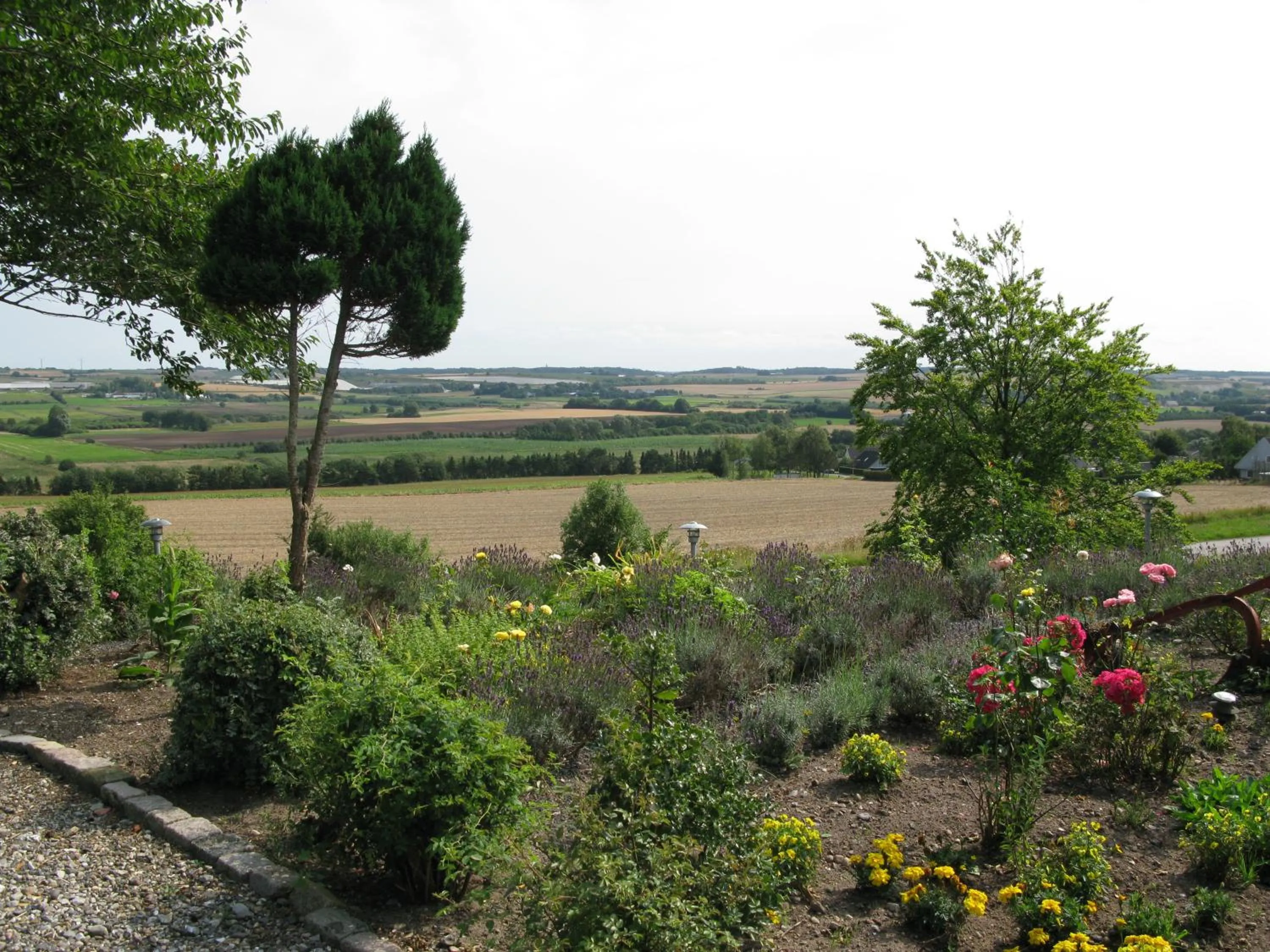 View (from property/room) in Motel Europa