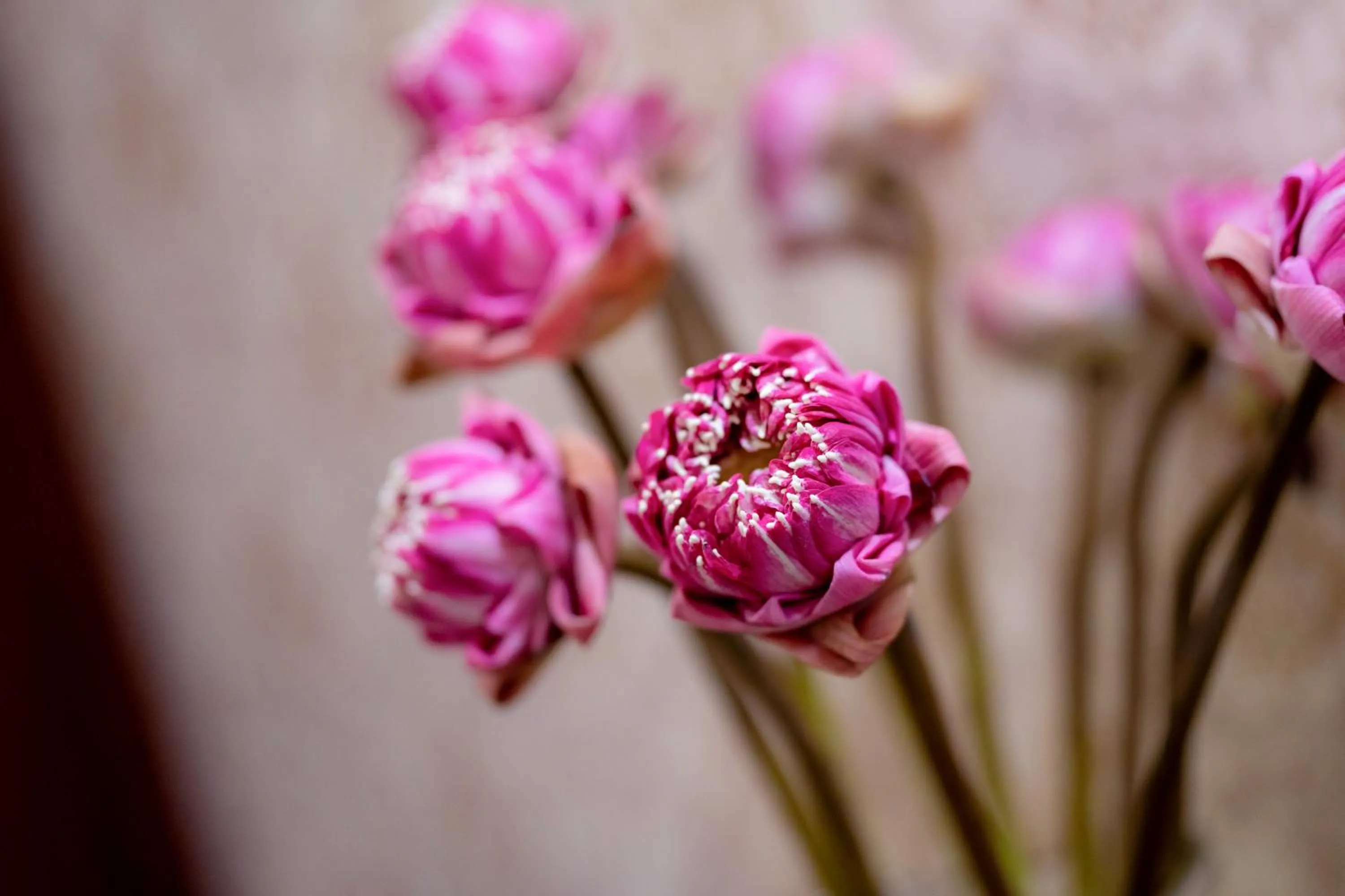 Decorative detail in Skyline Boutique Hotel