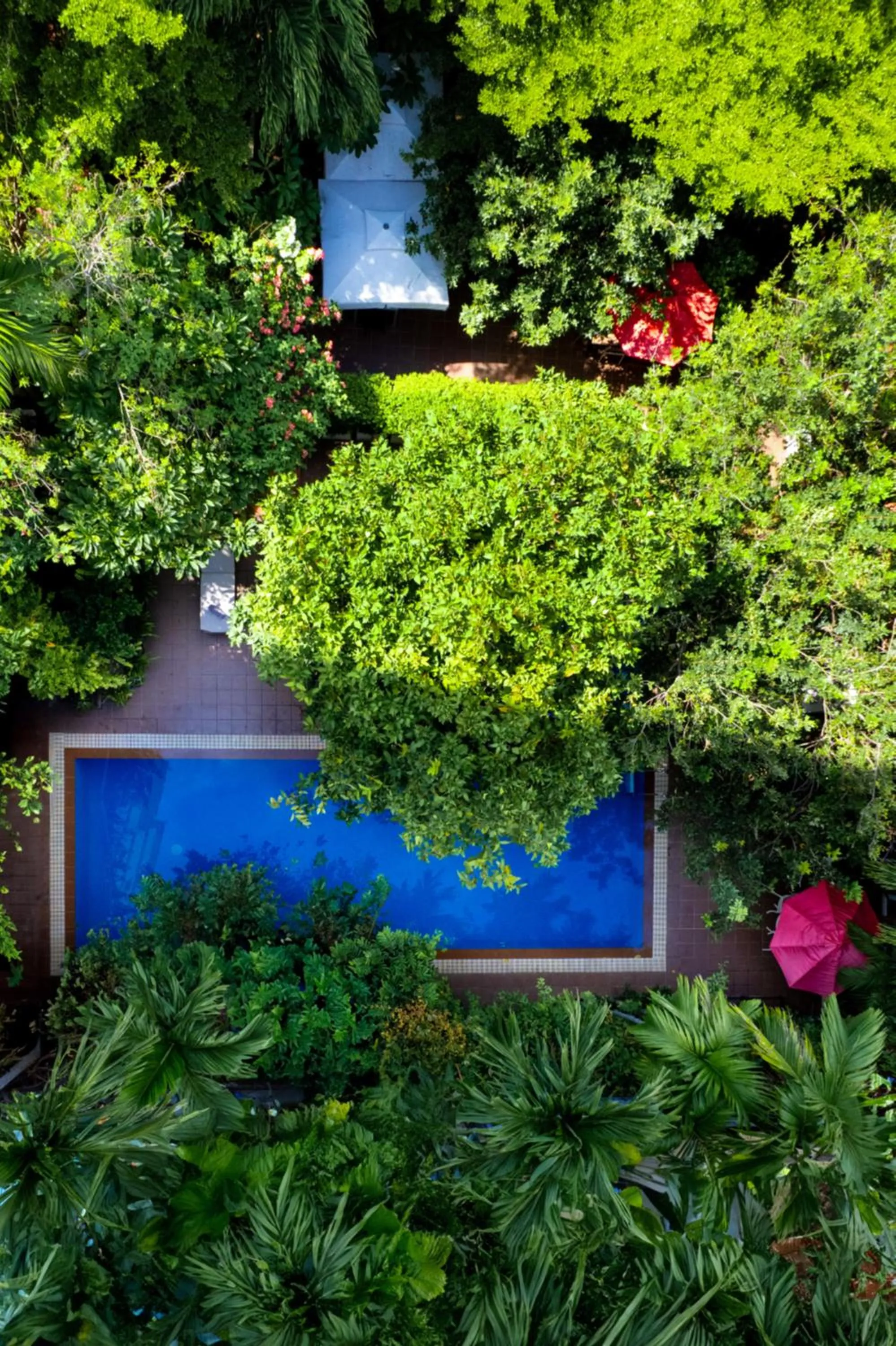 Day in Skyline Boutique Hotel