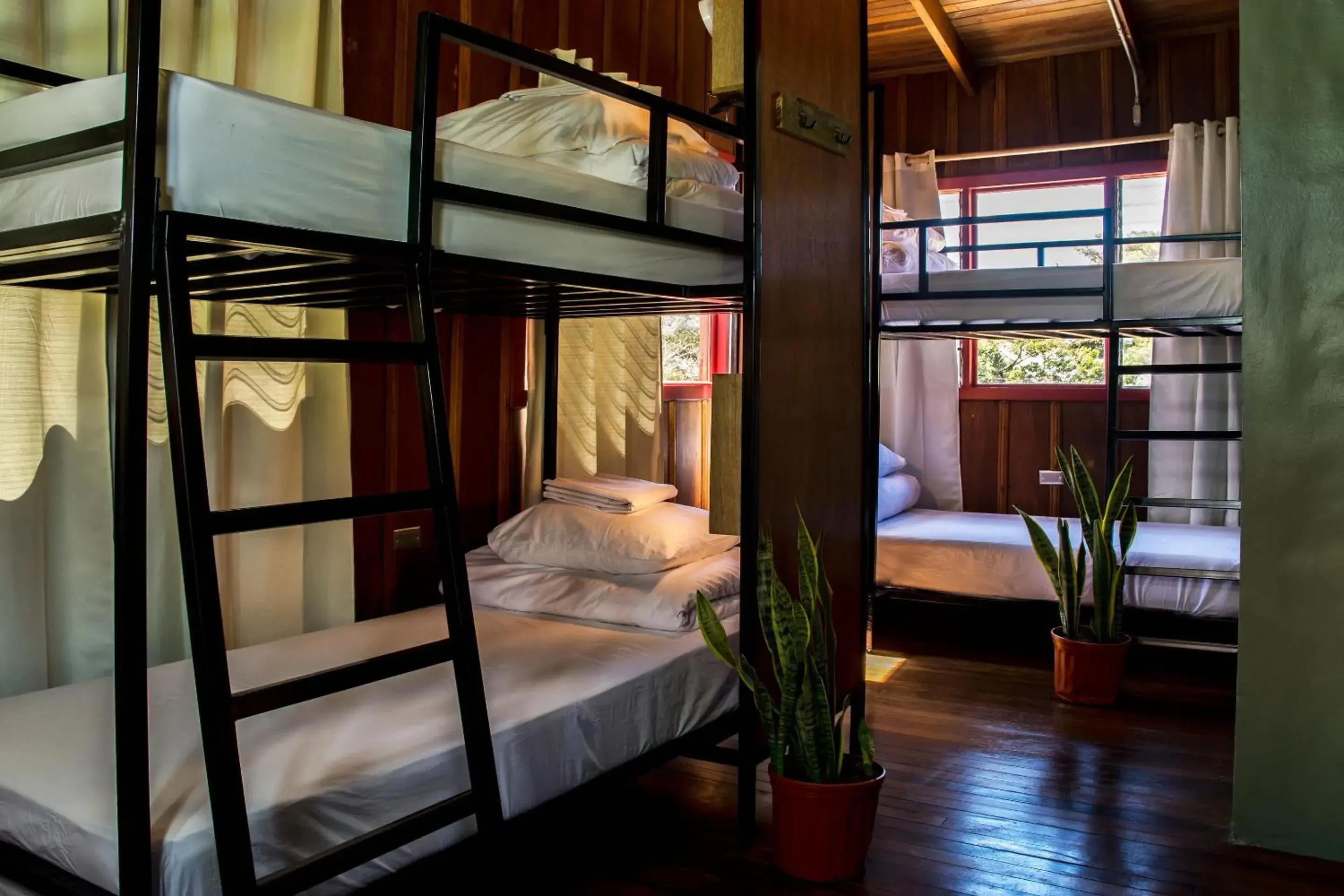 Bed in 6-Bed Mixed Dormitory Room - single occupancy in Selina Monteverde Bed in 6-Bed Mixed Dormitory Room - single occupancy in Selina Monteverde