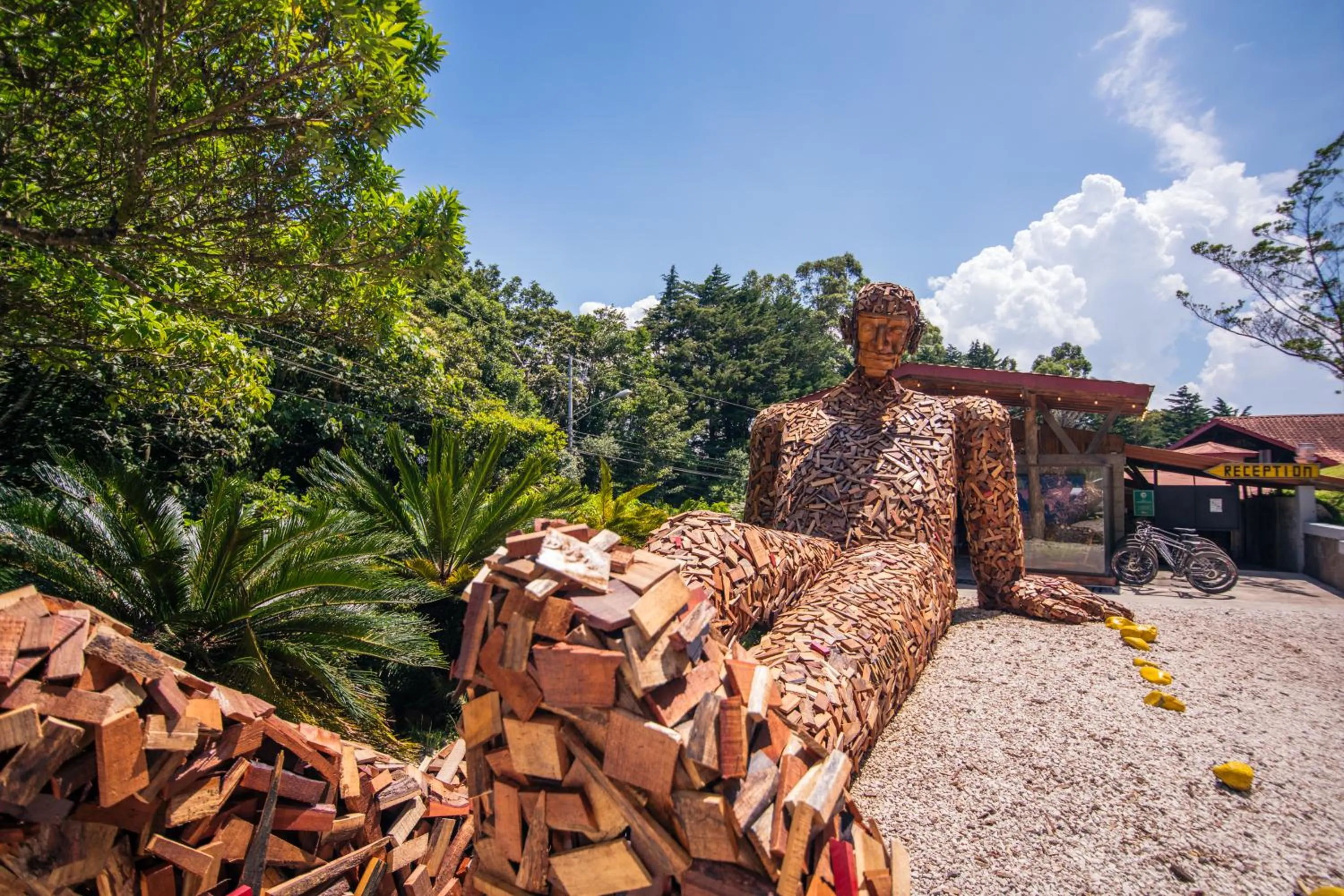 Property building in Selina Monteverde