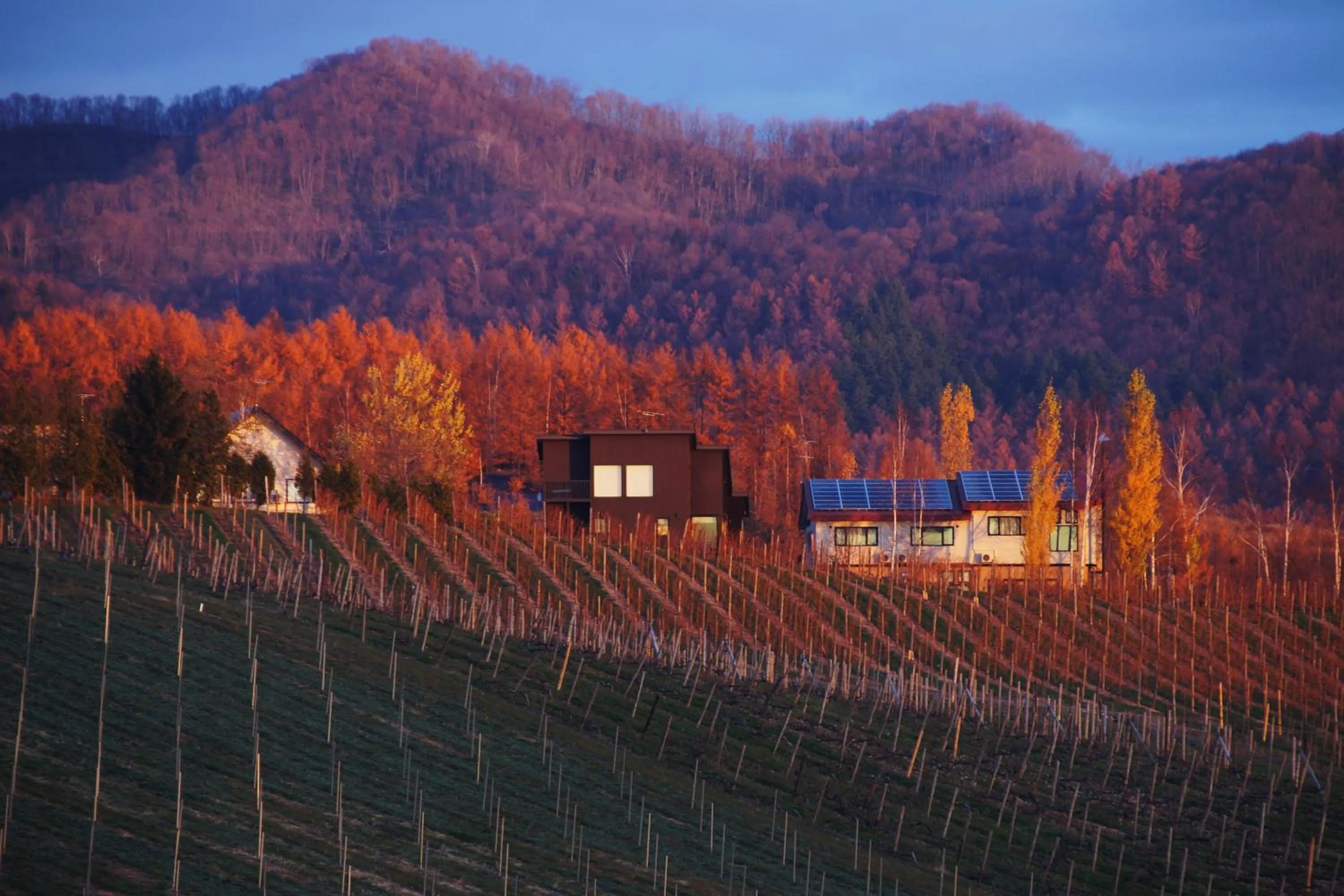 Natural landscape in Pension Ashitaya