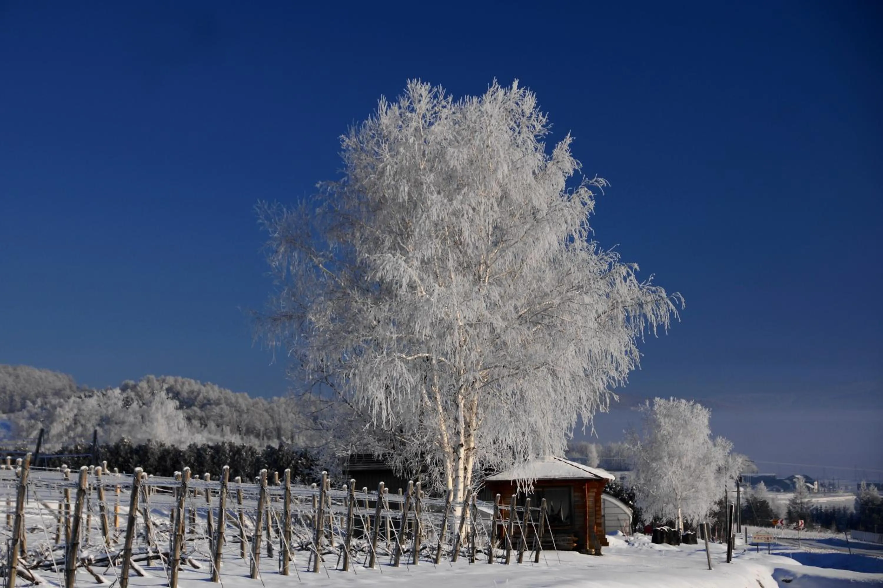 Natural landscape in Pension Ashitaya