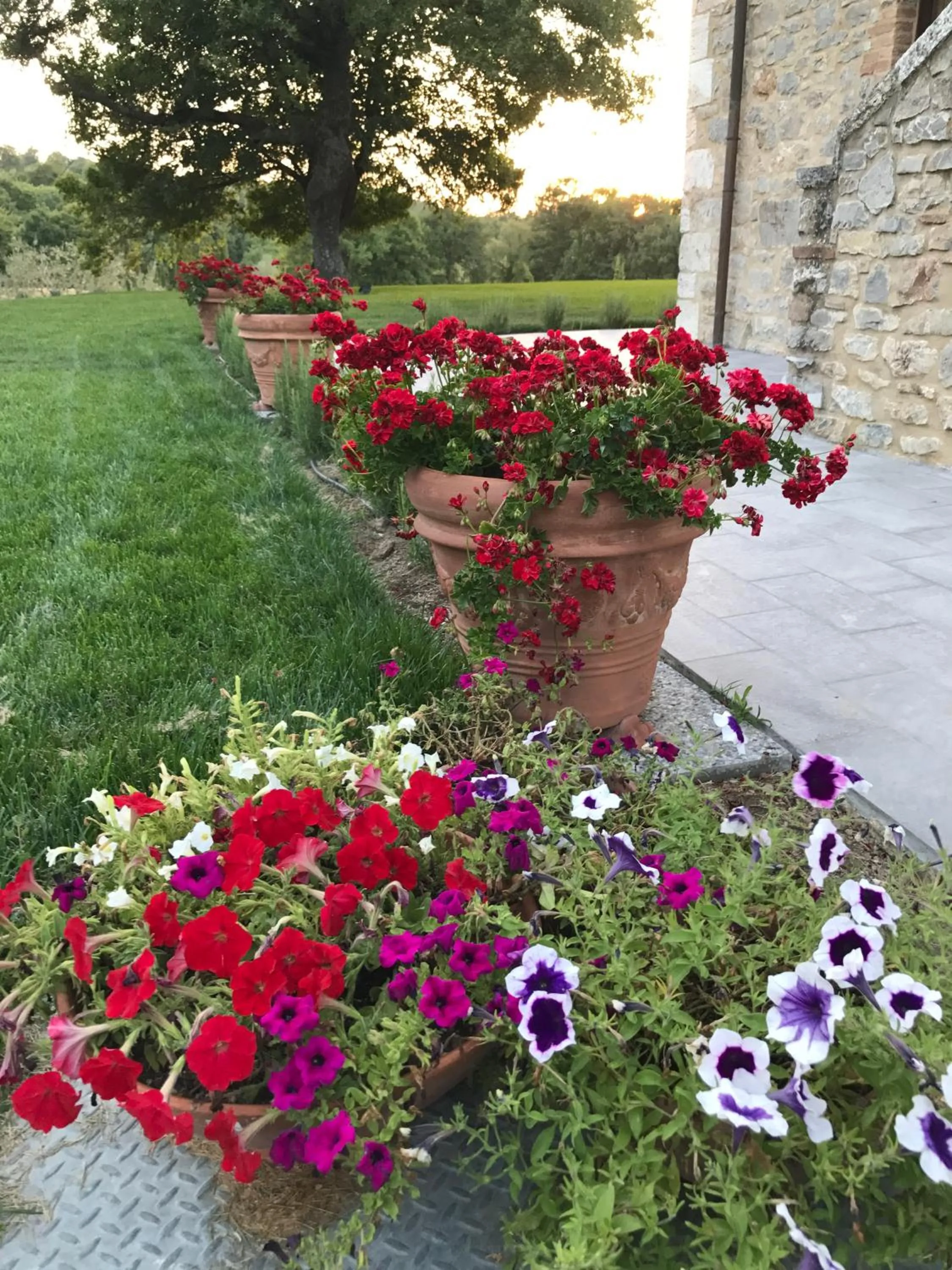 Garden in BelSentiero