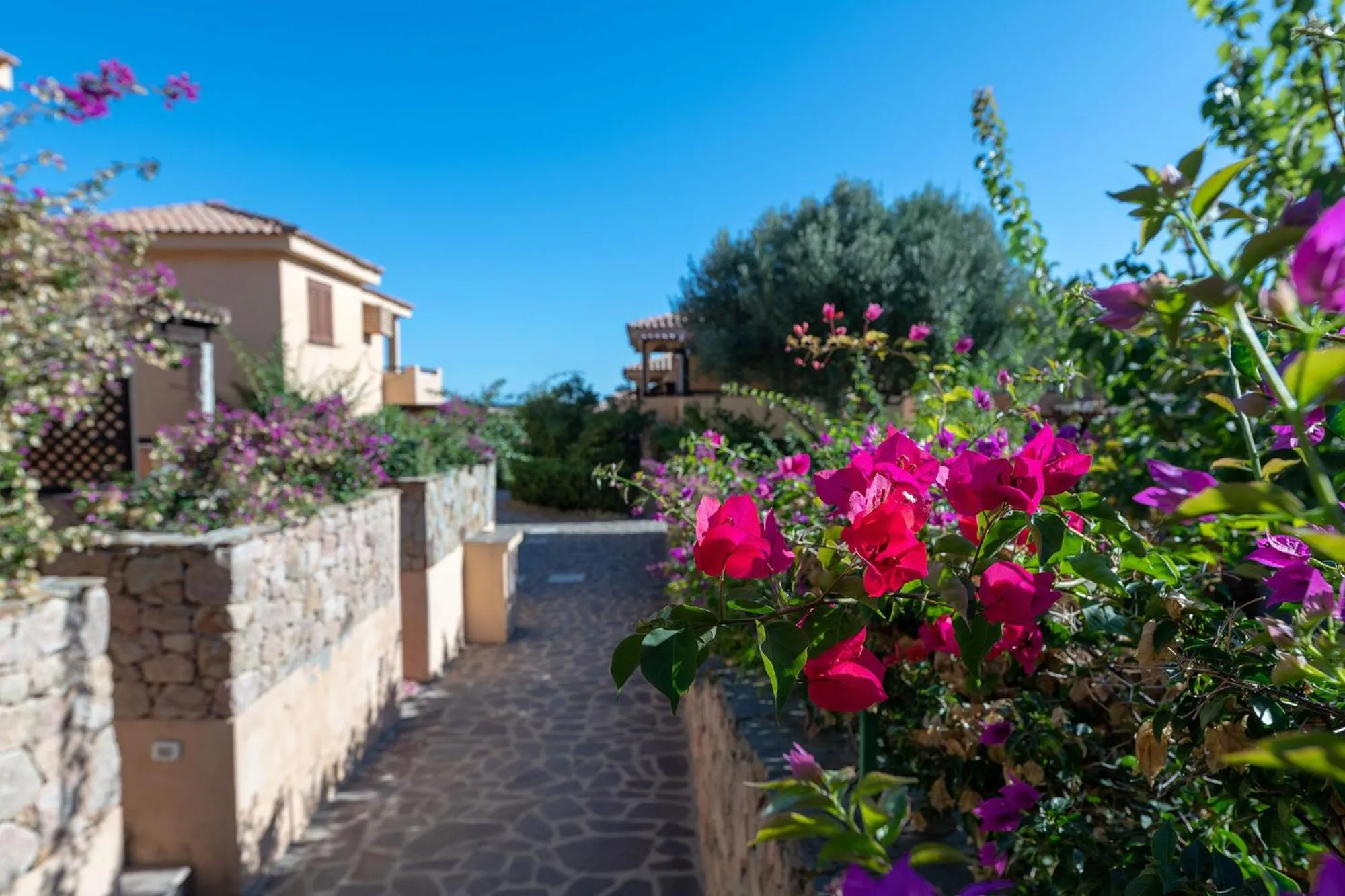 Property building in Baia de Bahas Residence