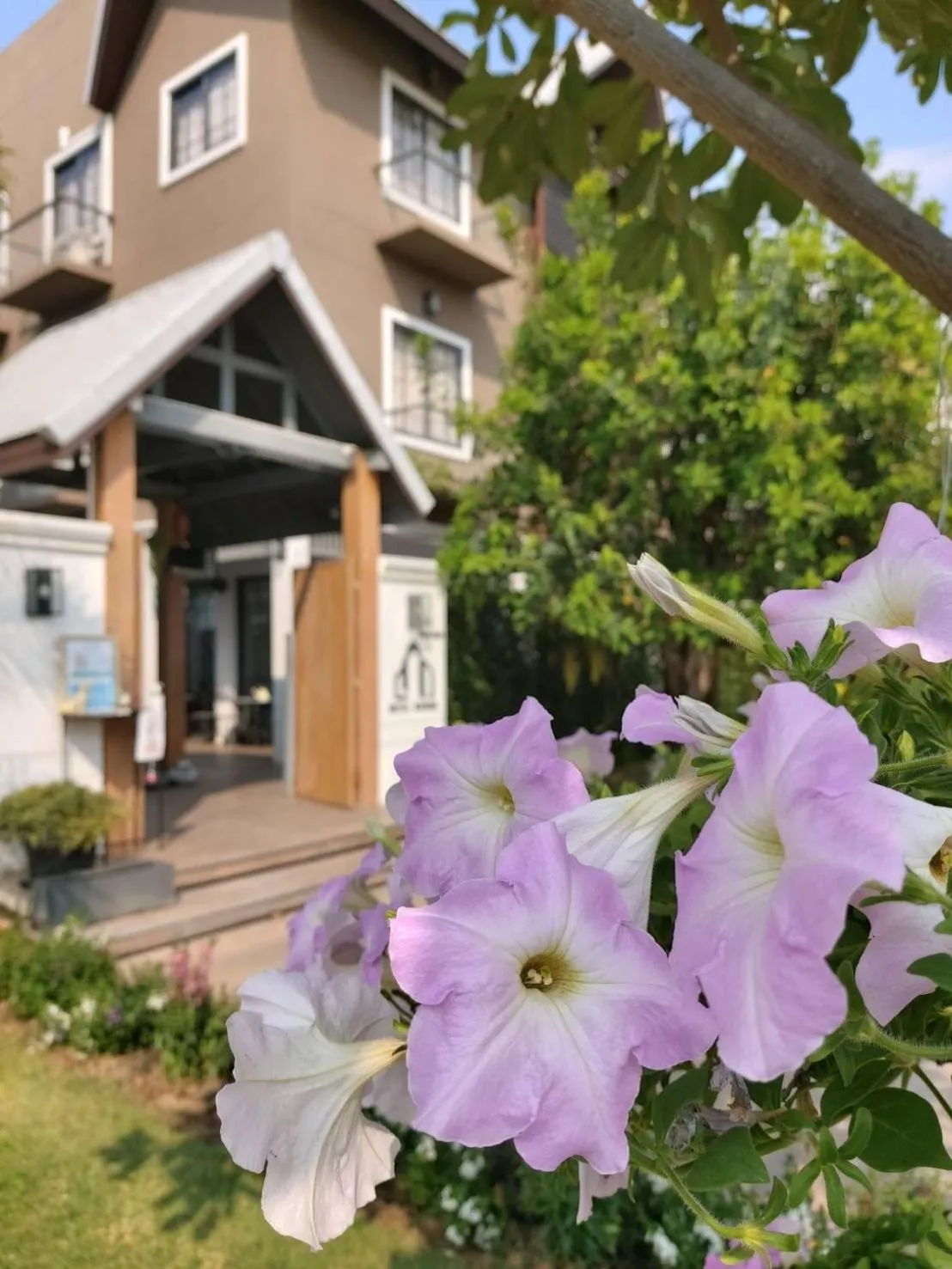 Property building in Hotel Matana