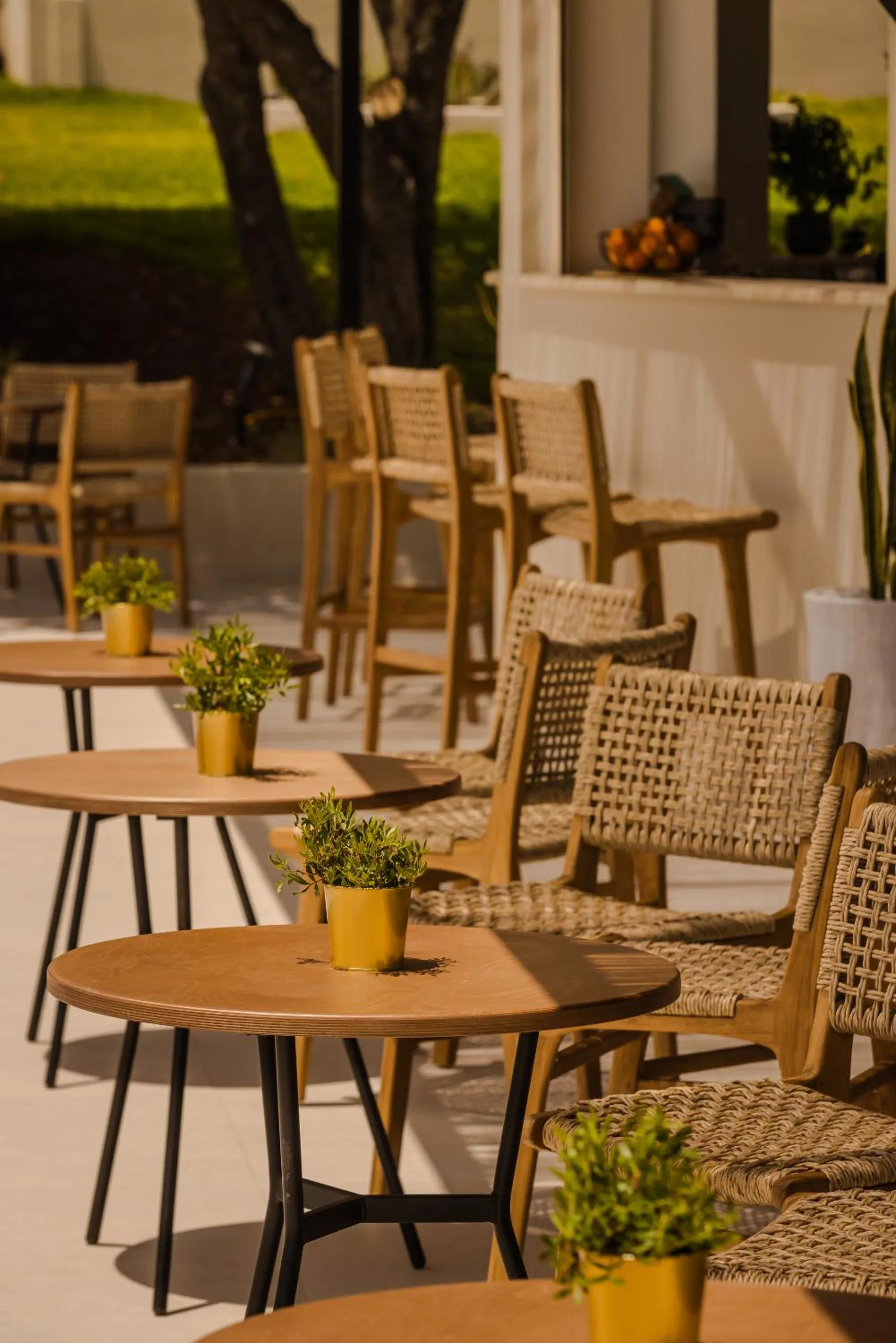 Restaurant/places to eat in Rodi Studios