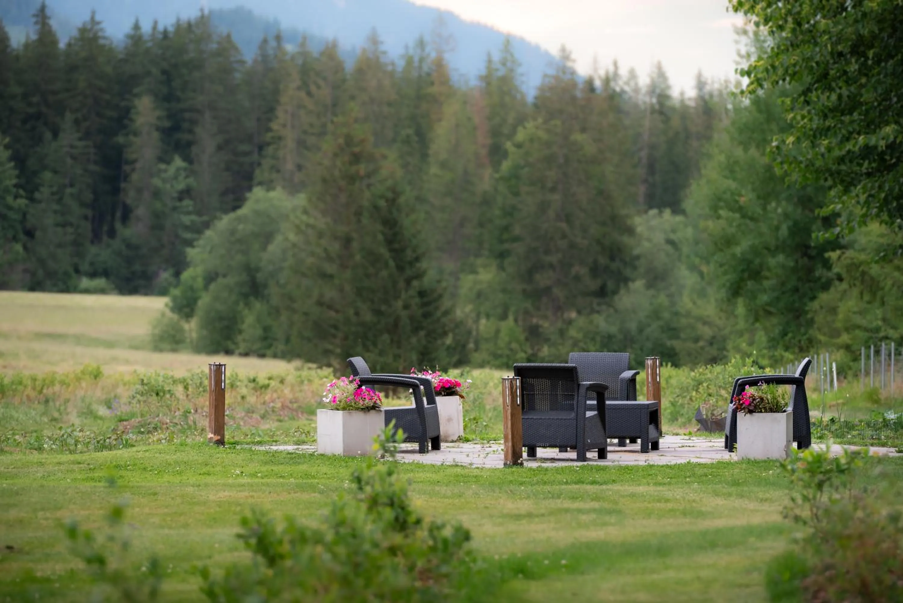 Natural landscape in Zakątek Pod Smrekami
