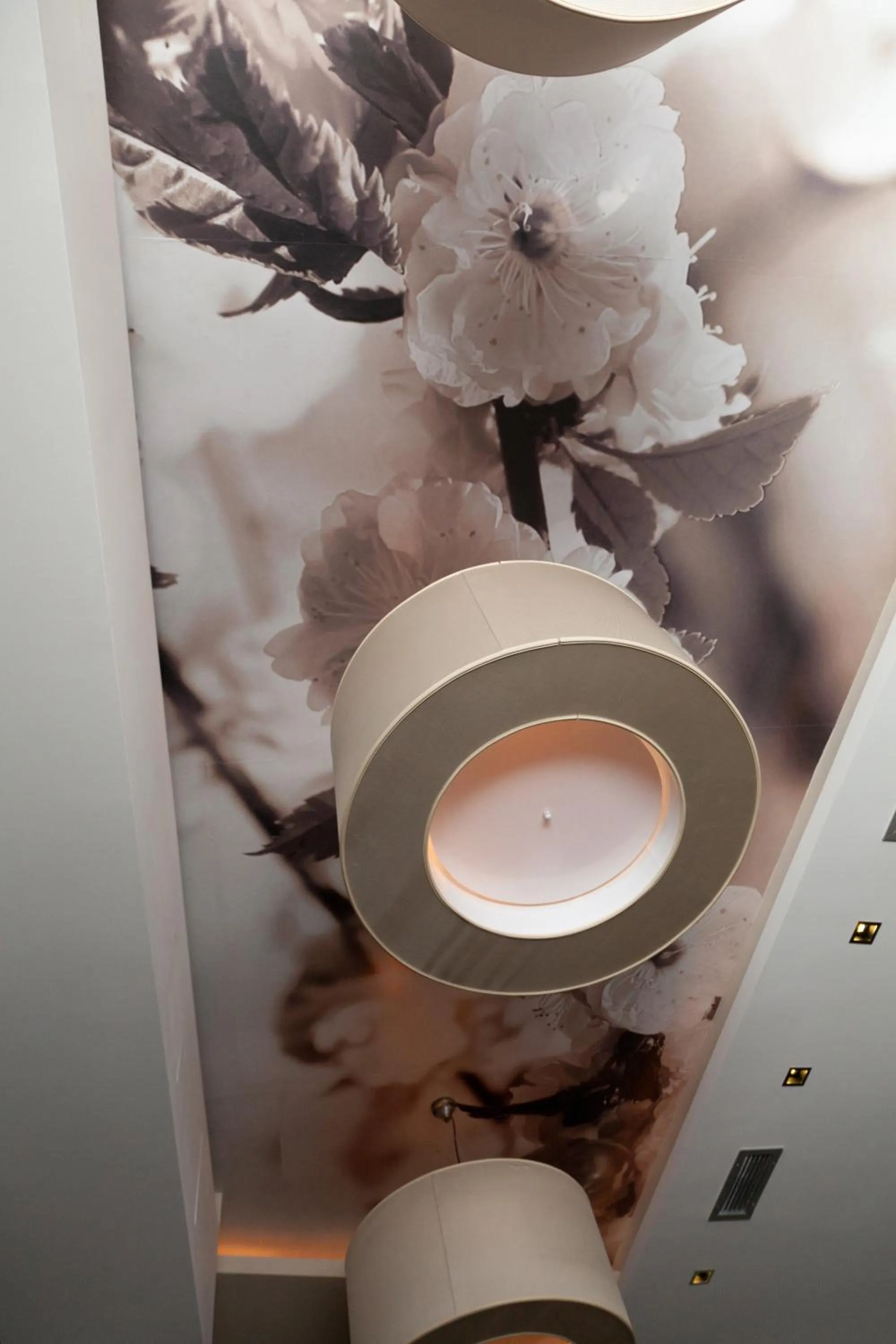 Lounge or bar in Hotel Sole