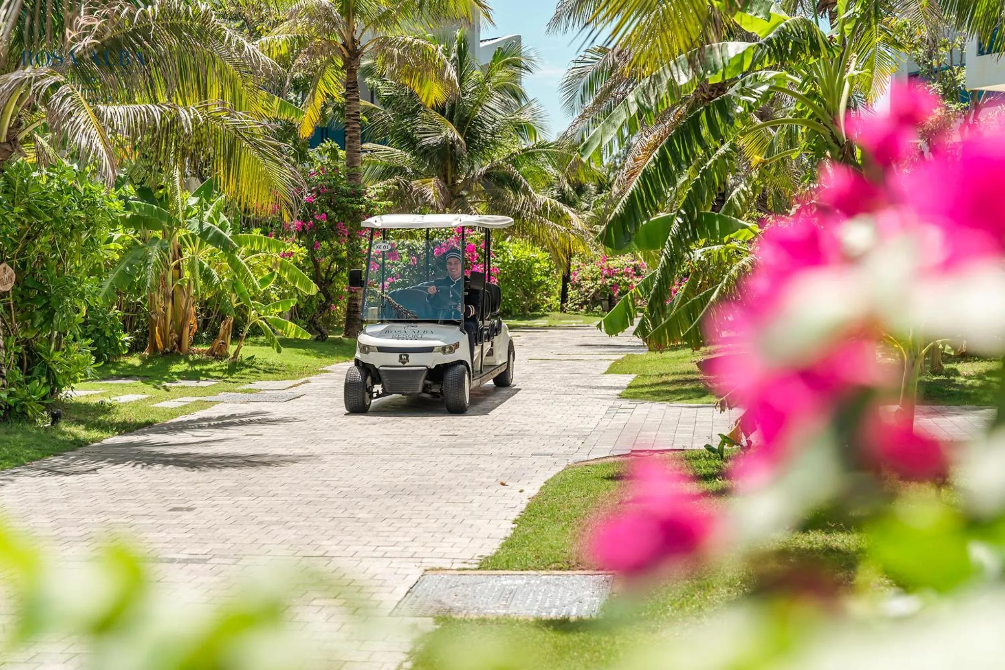 Natural landscape in Rosa Alba Resort & Villas Tuy Hoa