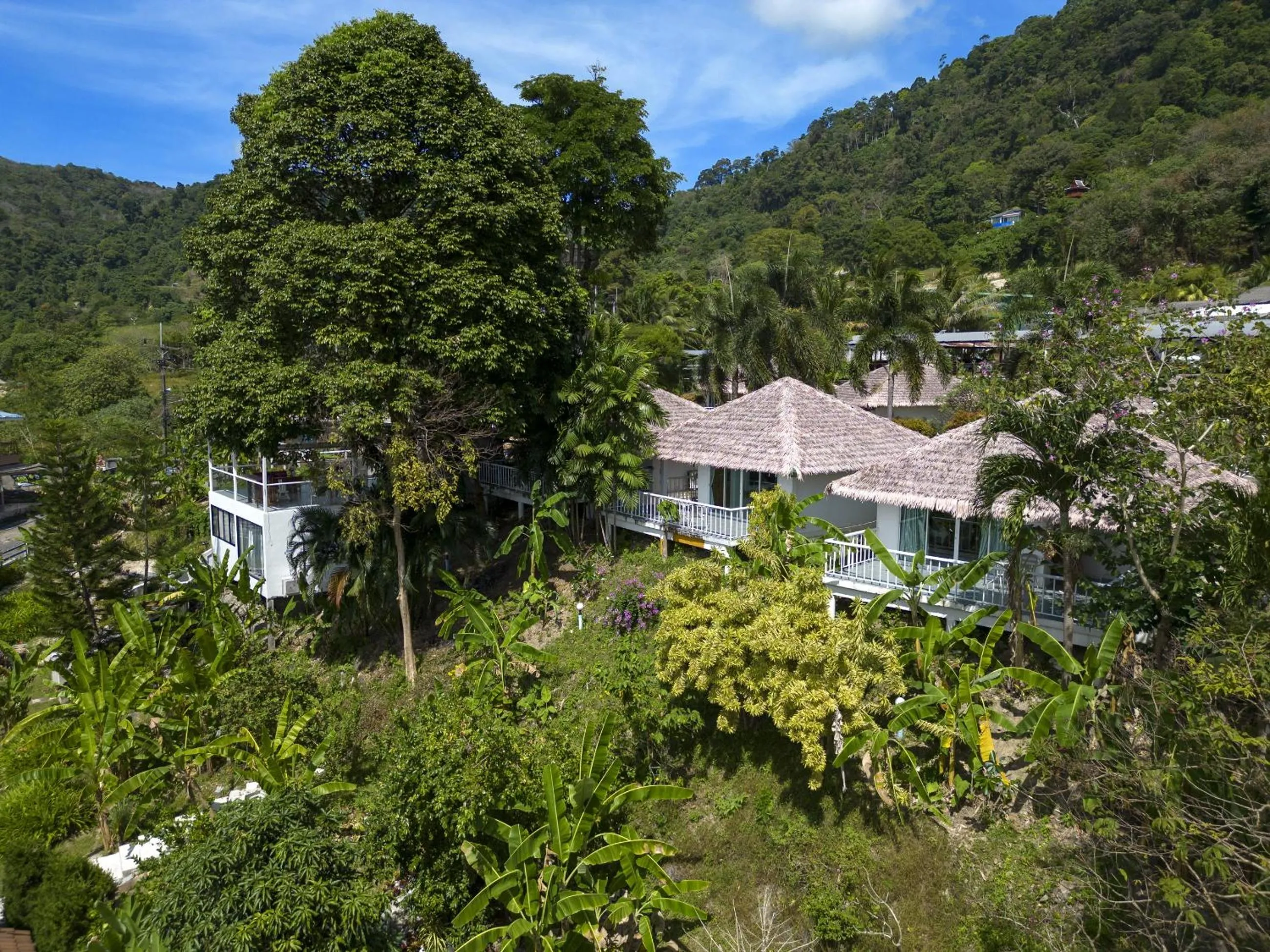 Natural landscape in Daydream villa resort