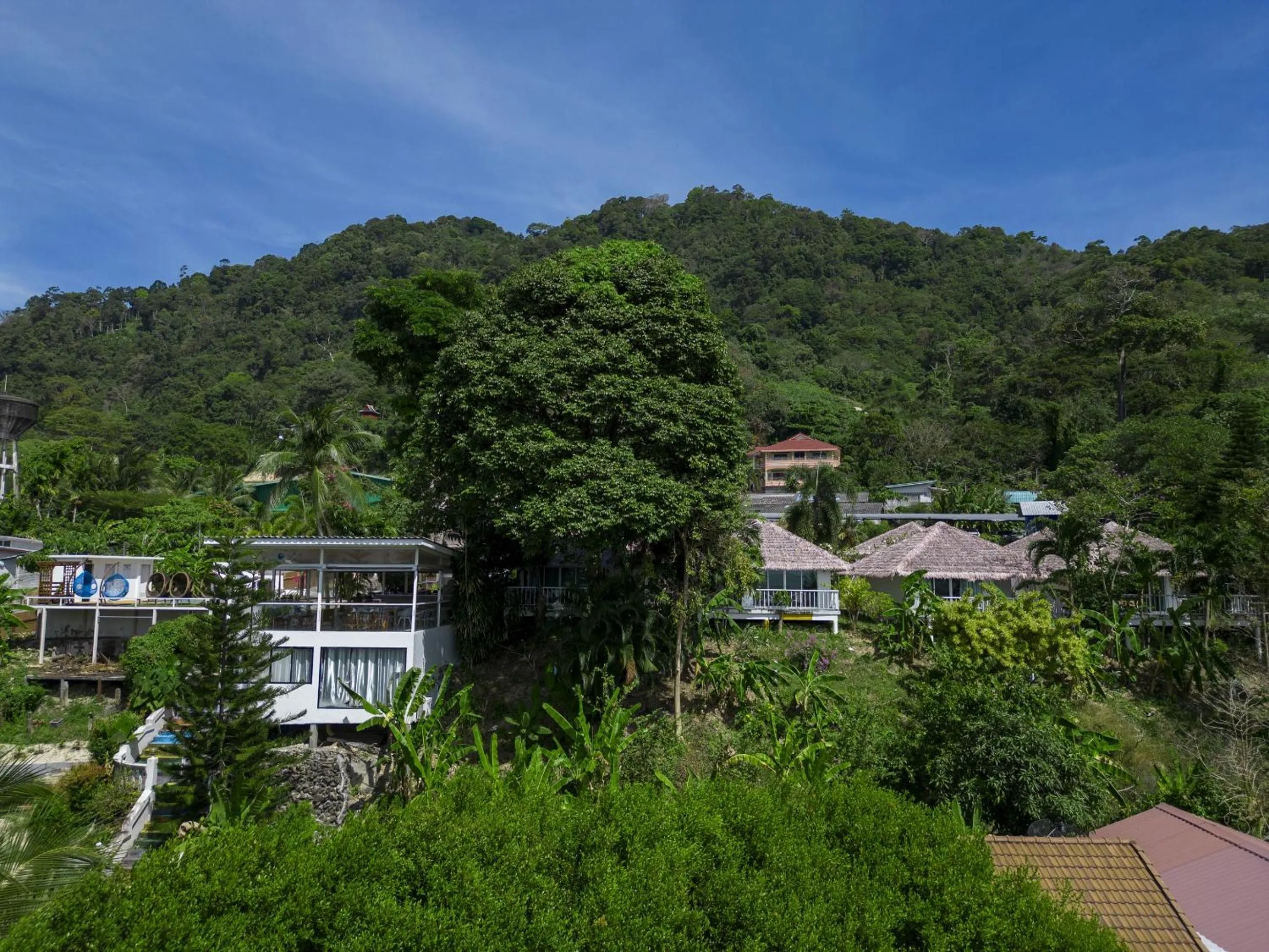Natural landscape in Daydream villa resort