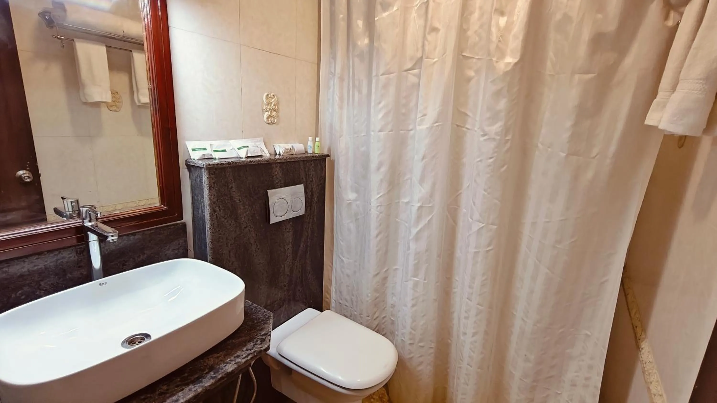 Toilet in Alps Residency - A Bergamont Hotel, Krishnagiri