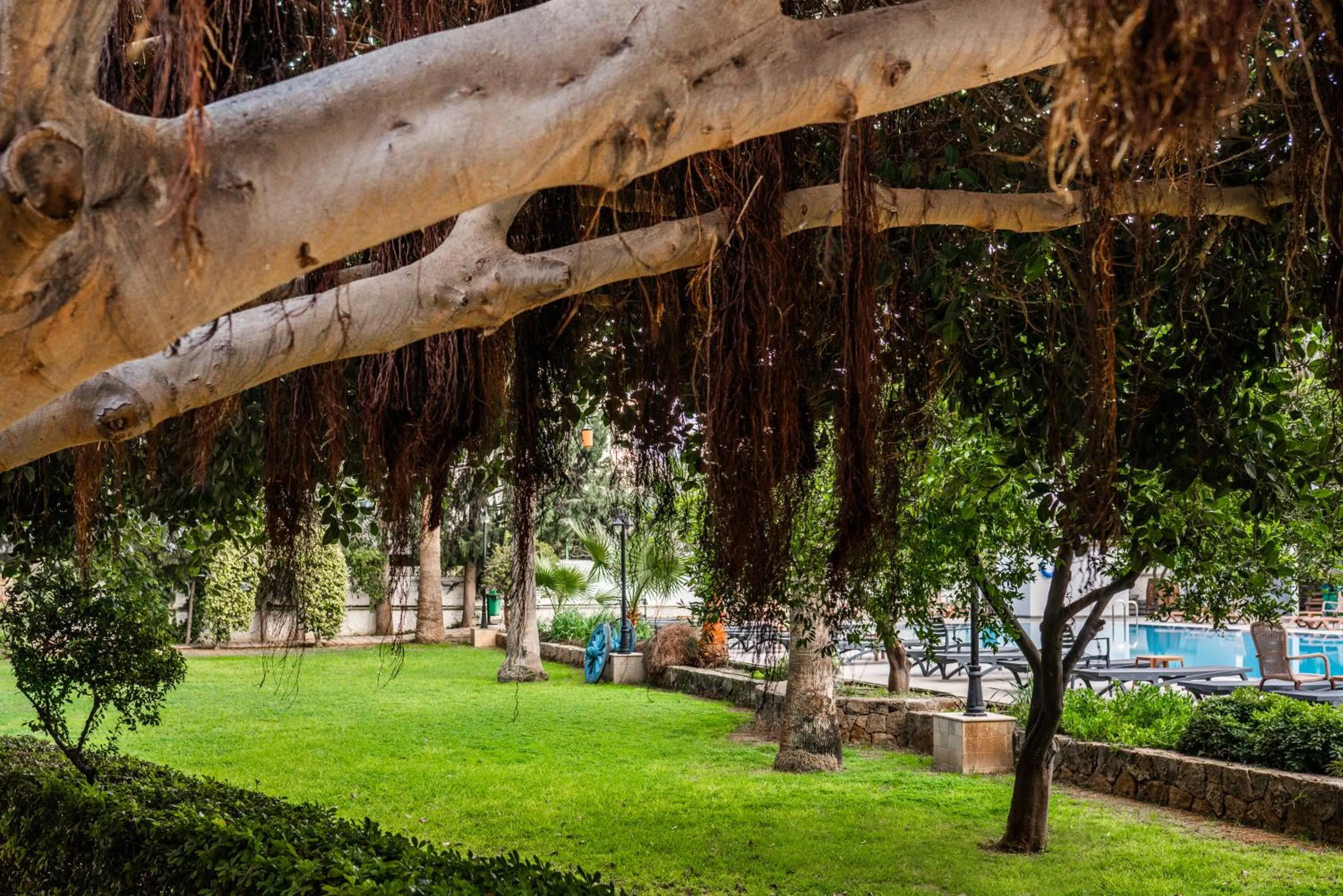 Garden in Hotel Pia Bella