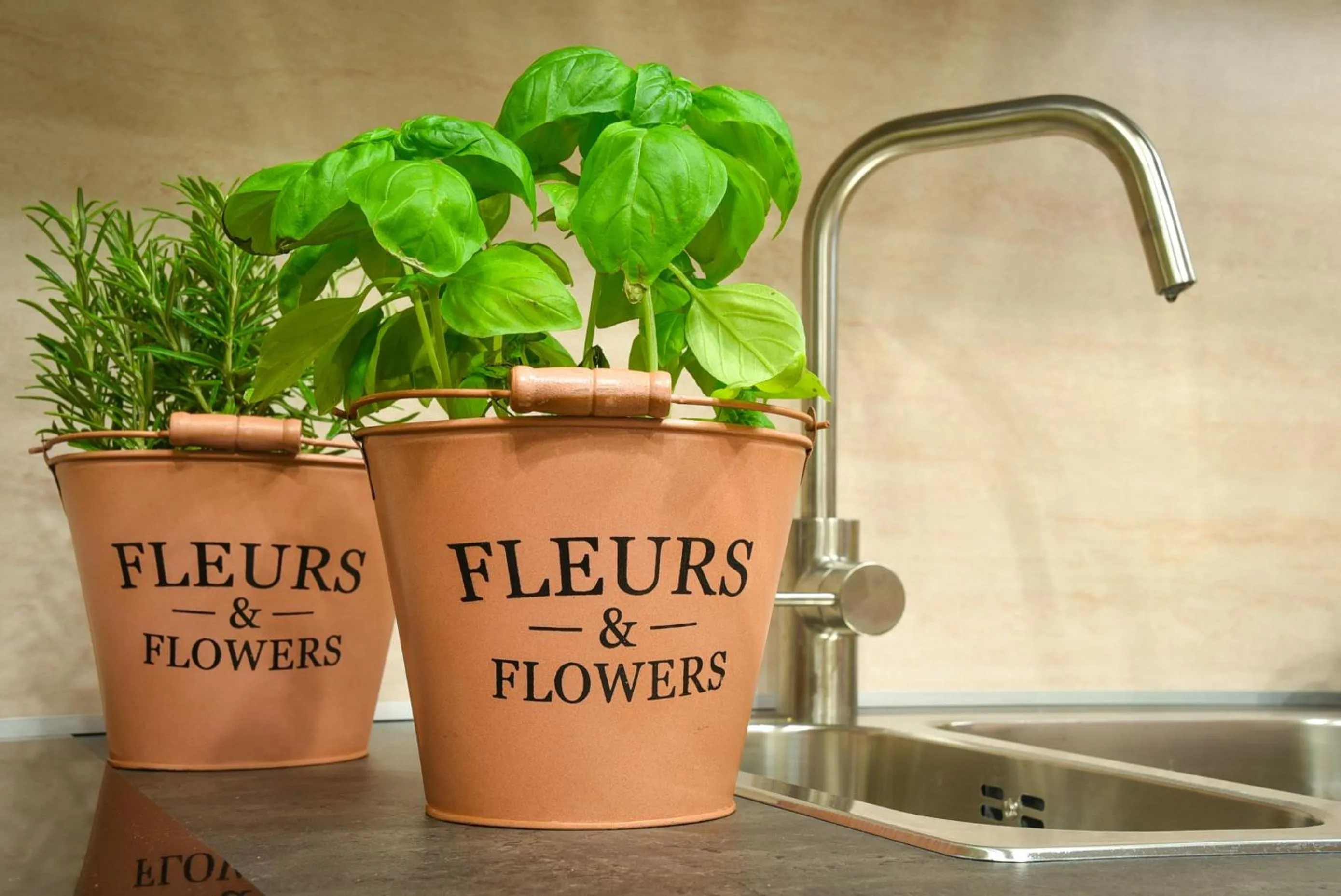 Continental breakfast in B&B H68