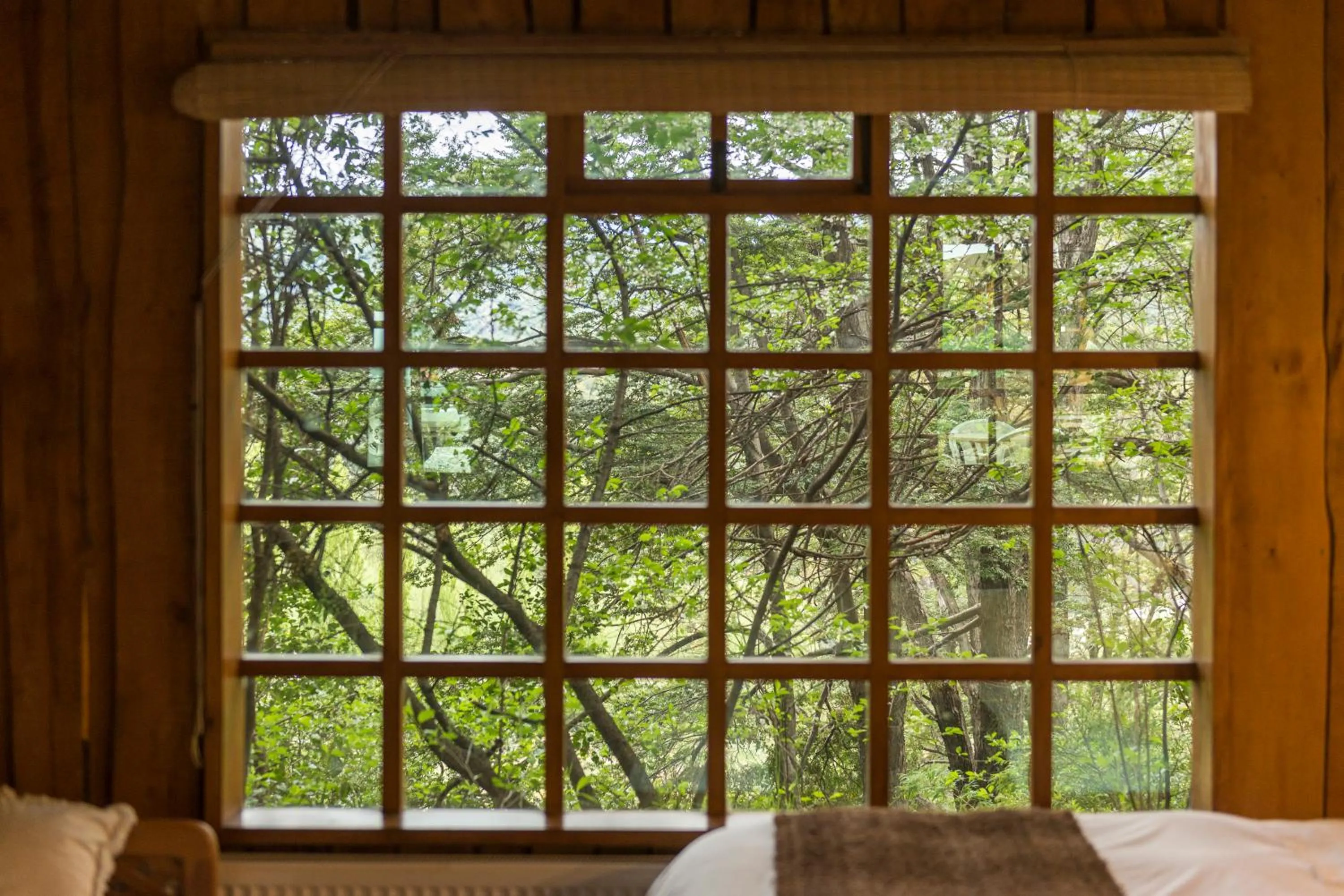 Garden view, Bed in Hotel El Barranco